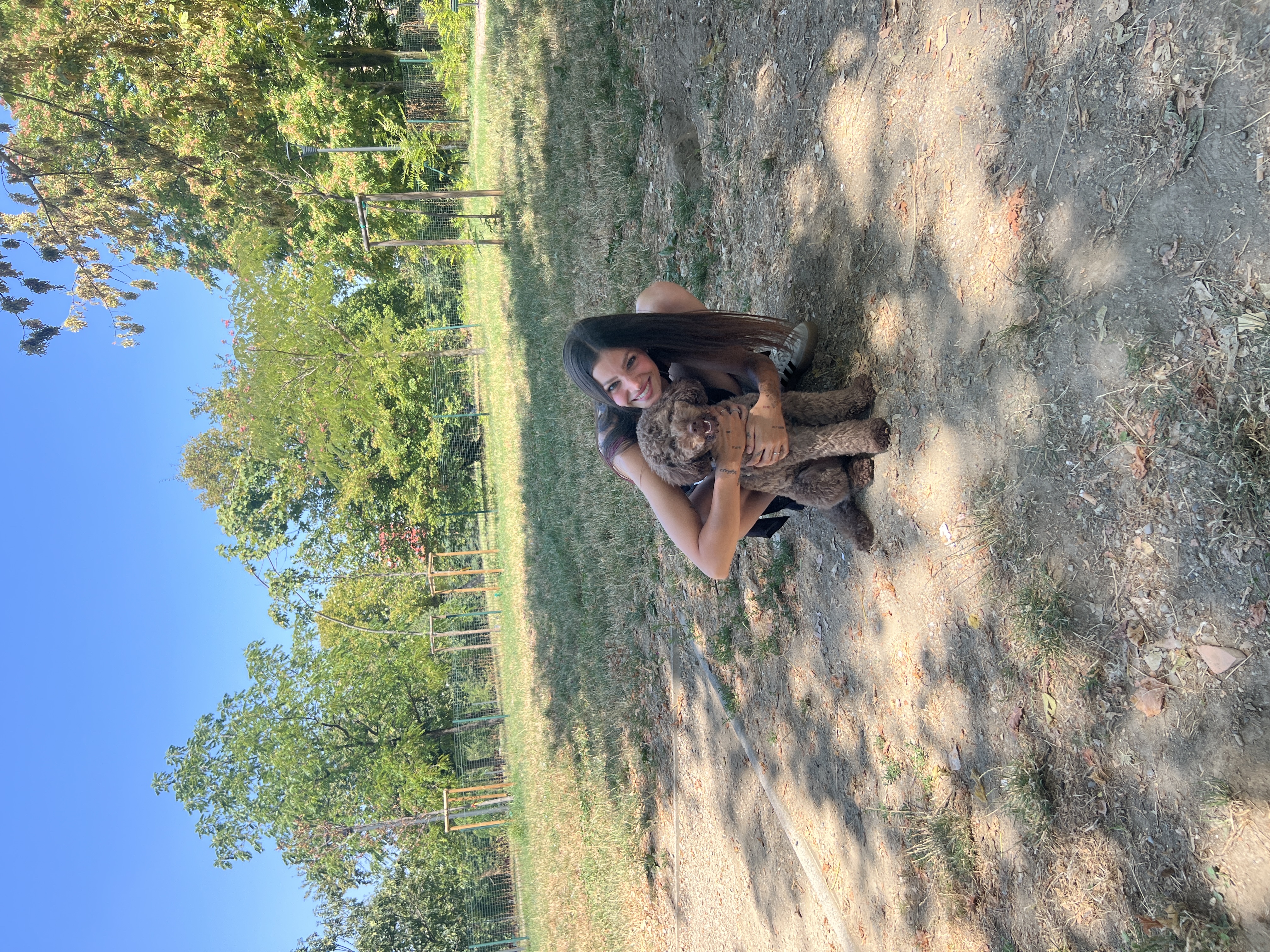 image-15