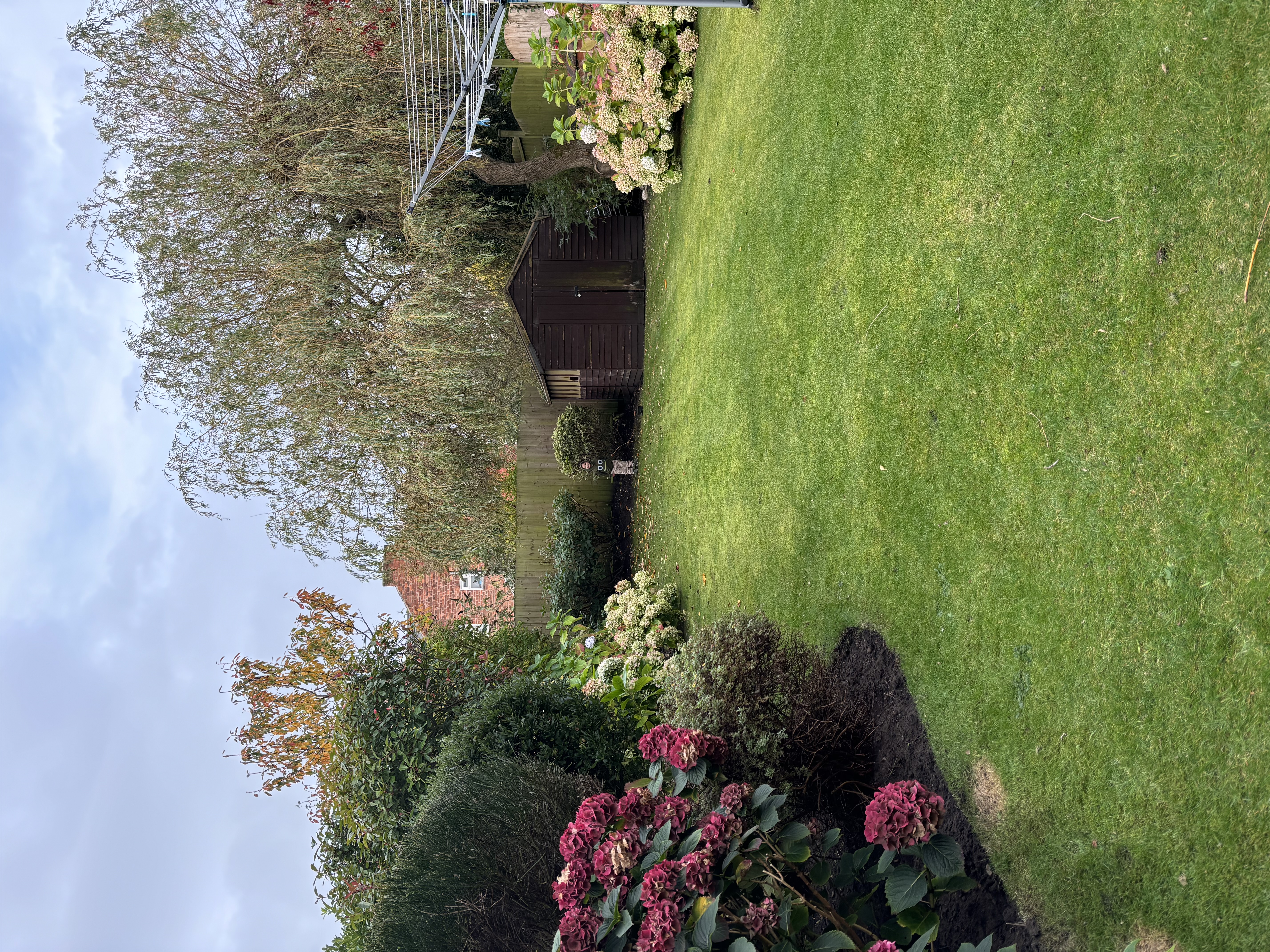 image-14