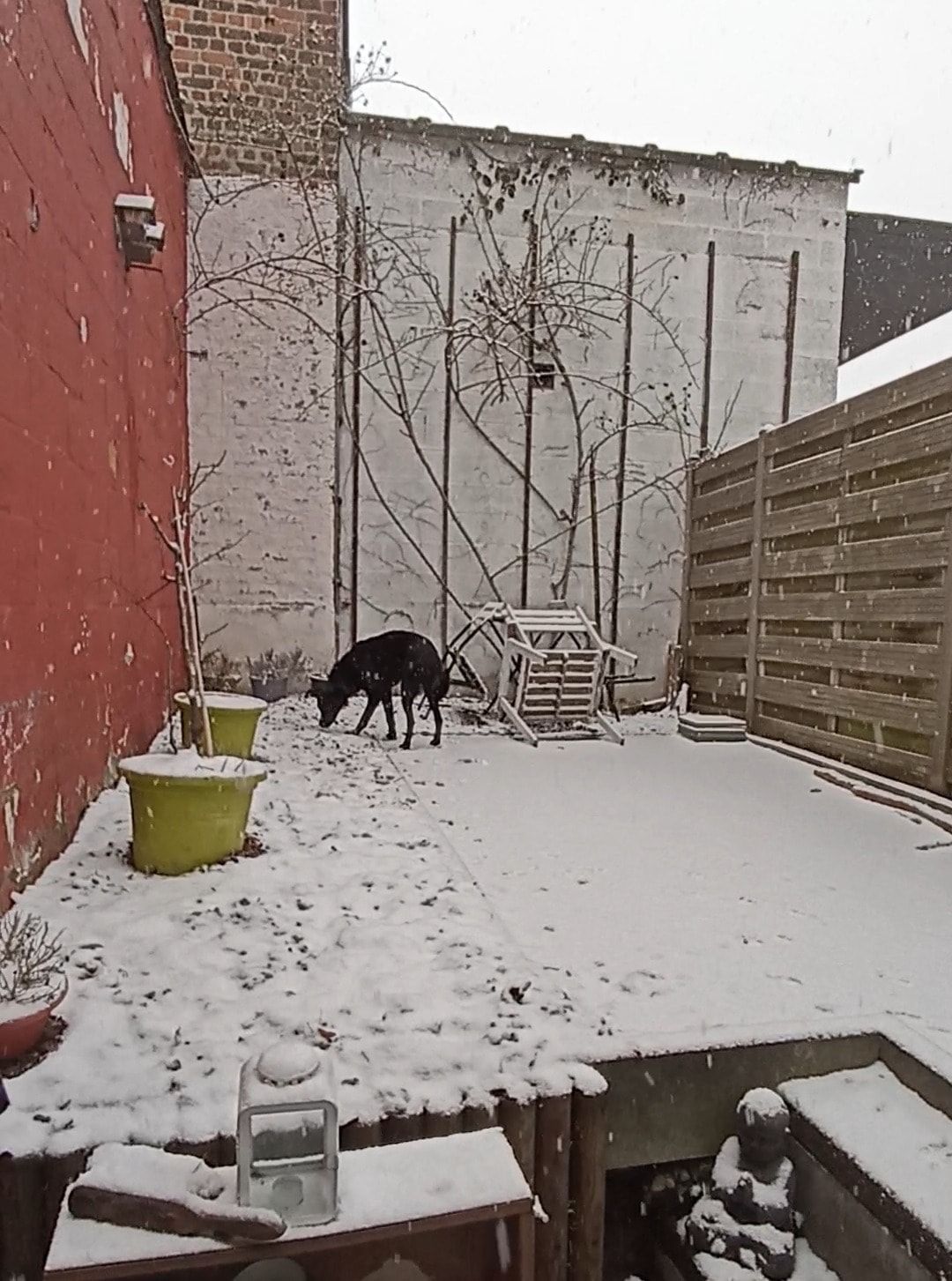 image-12
