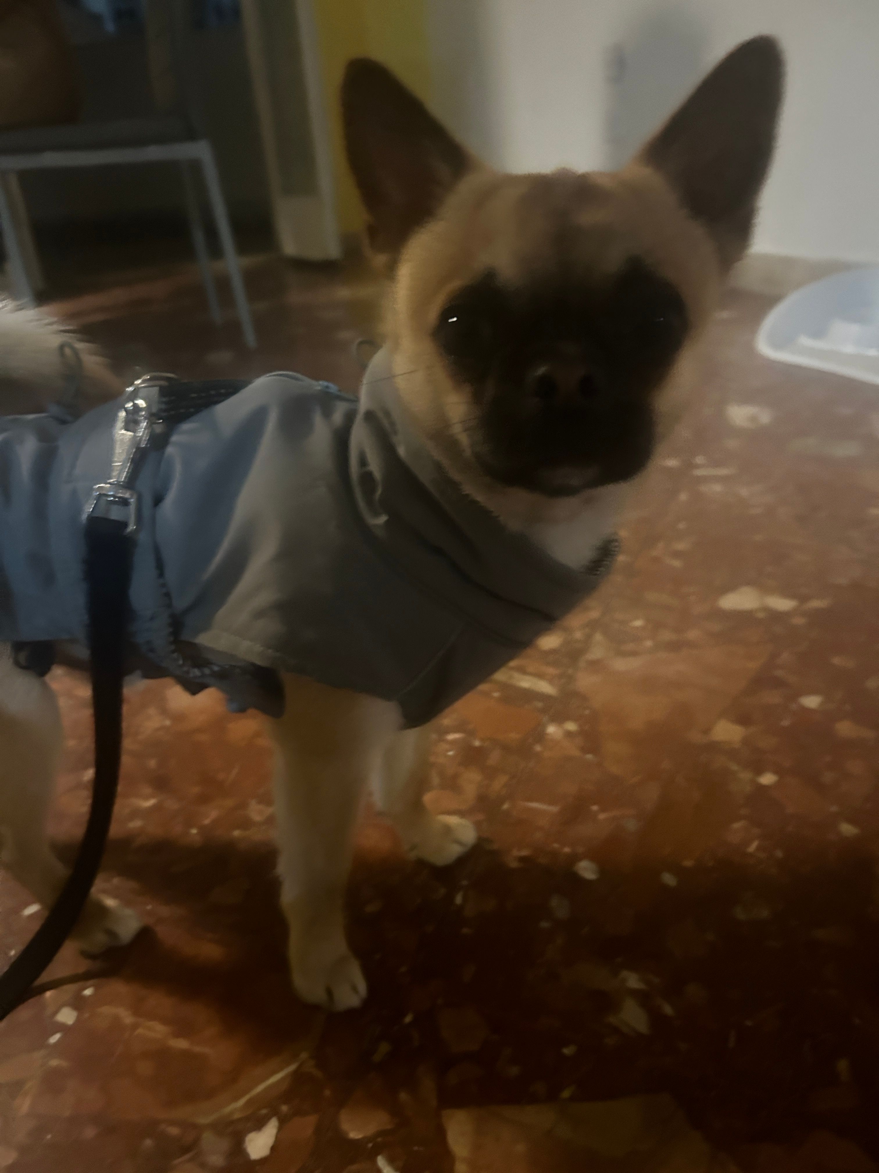 image-6