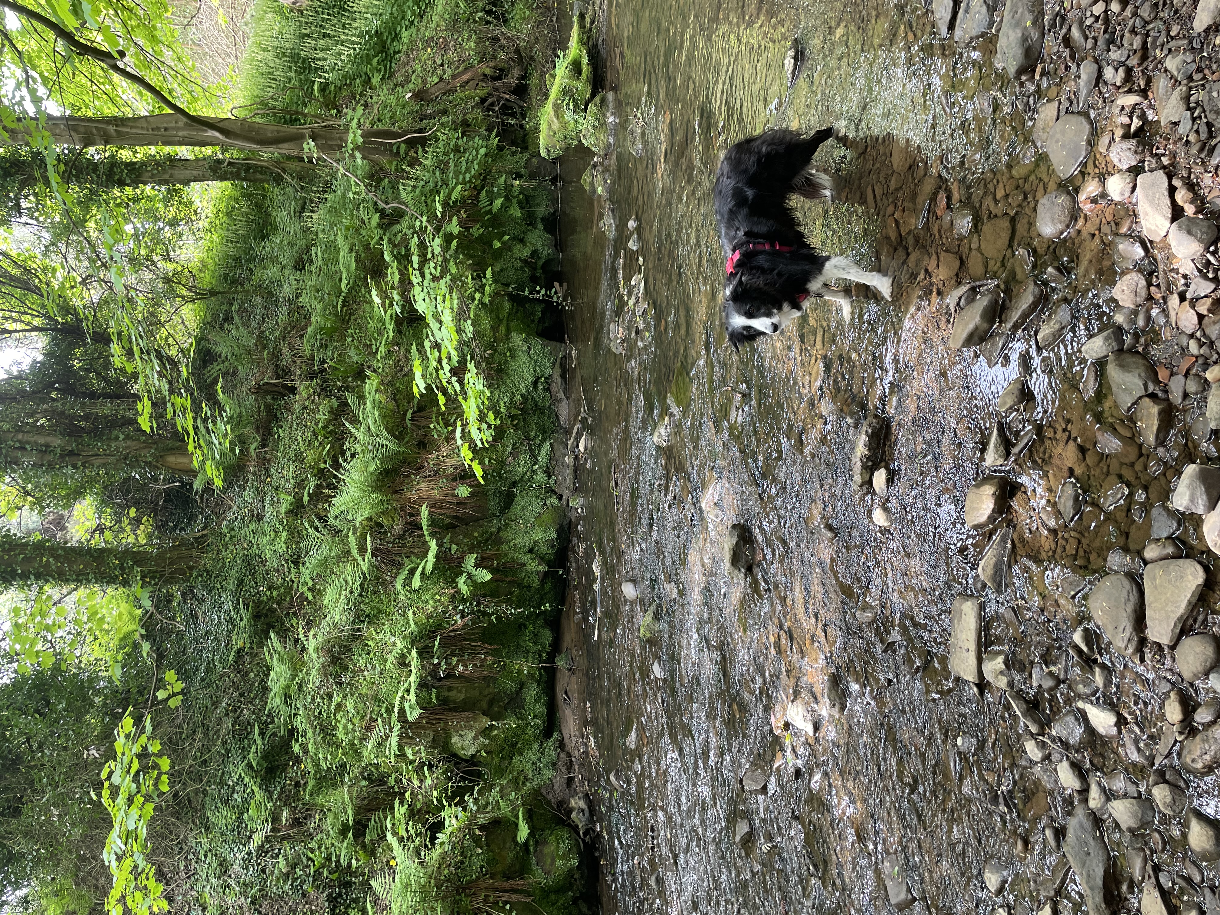 image-11