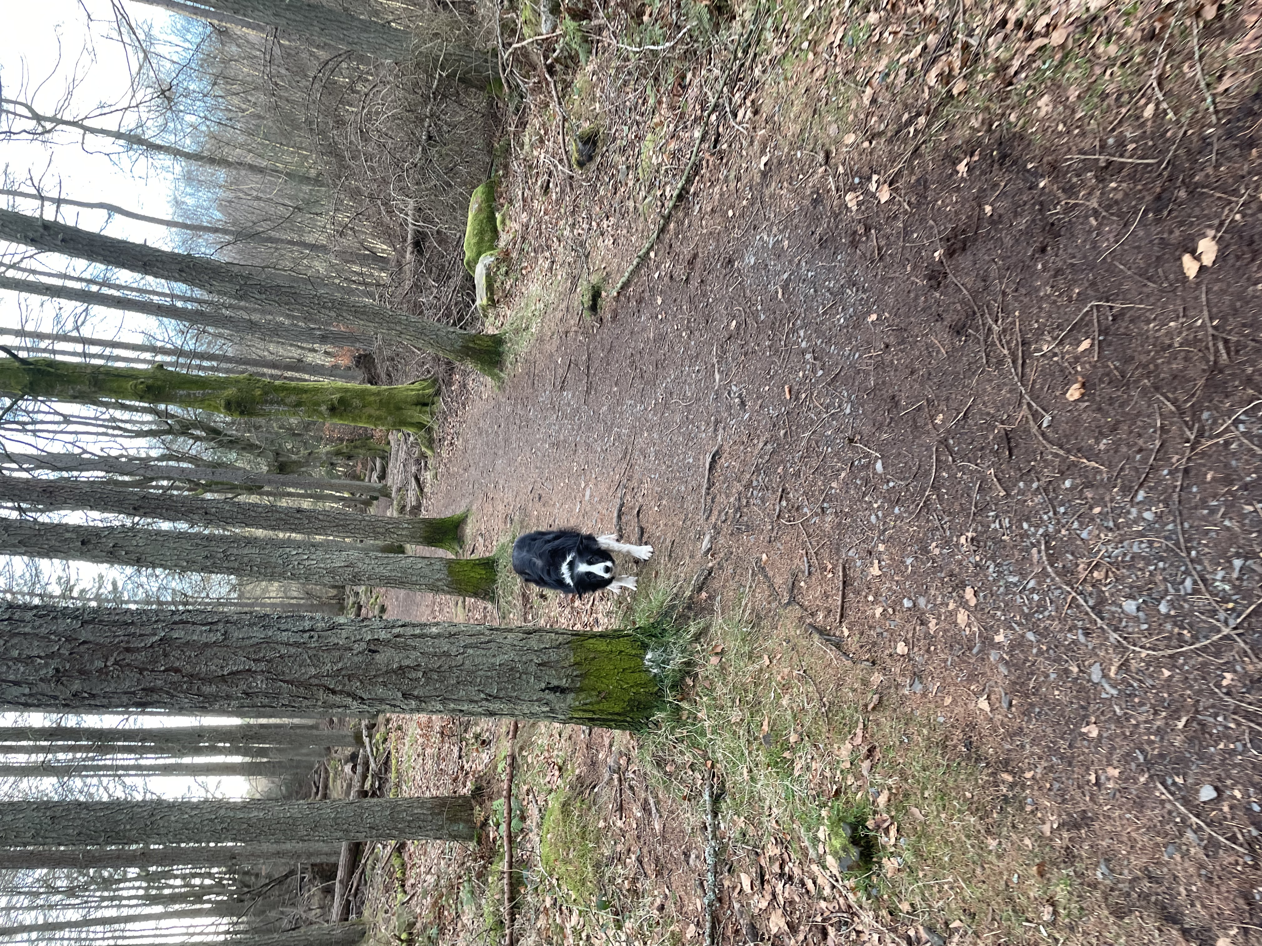 image-10