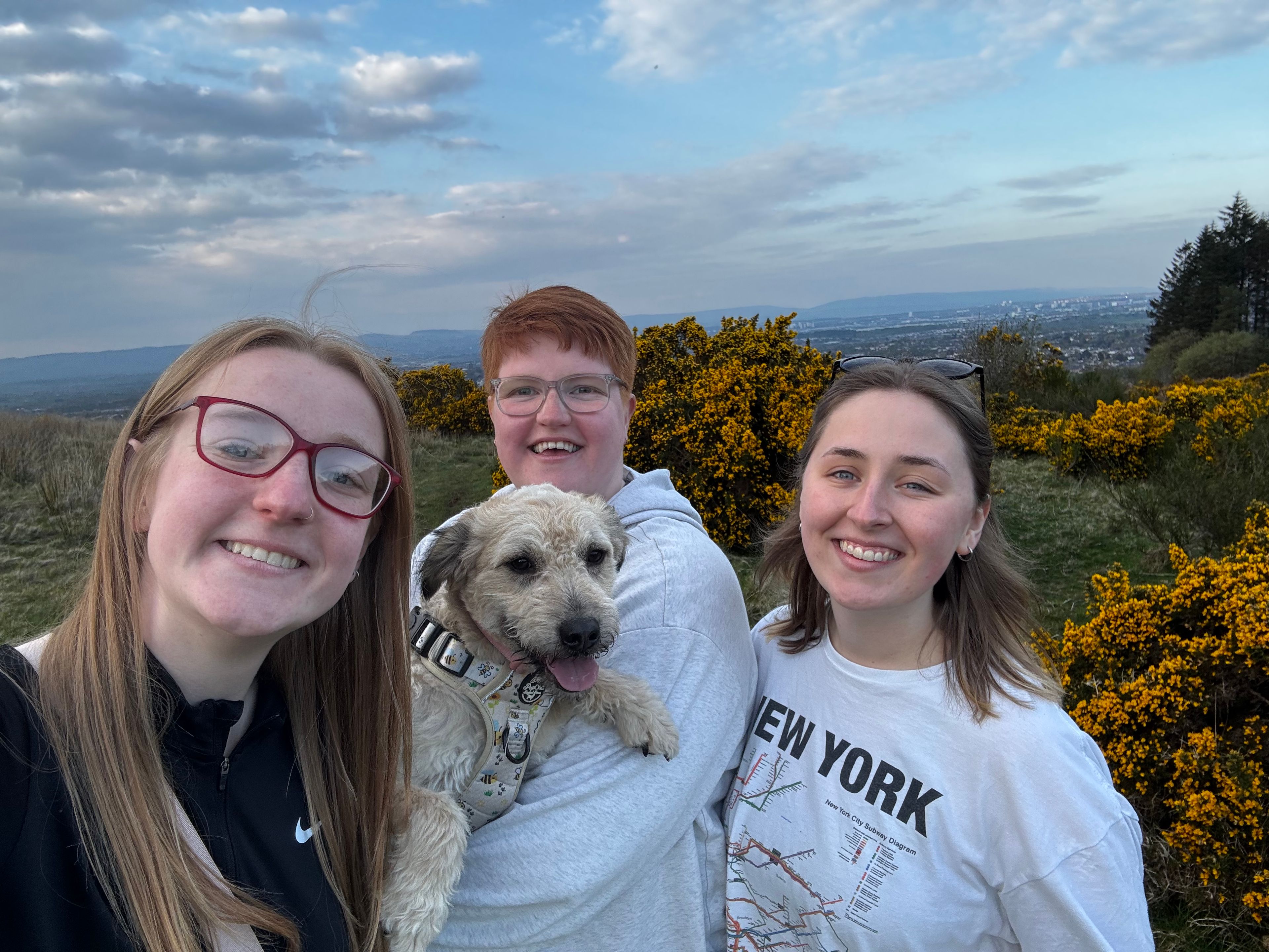 image-14
