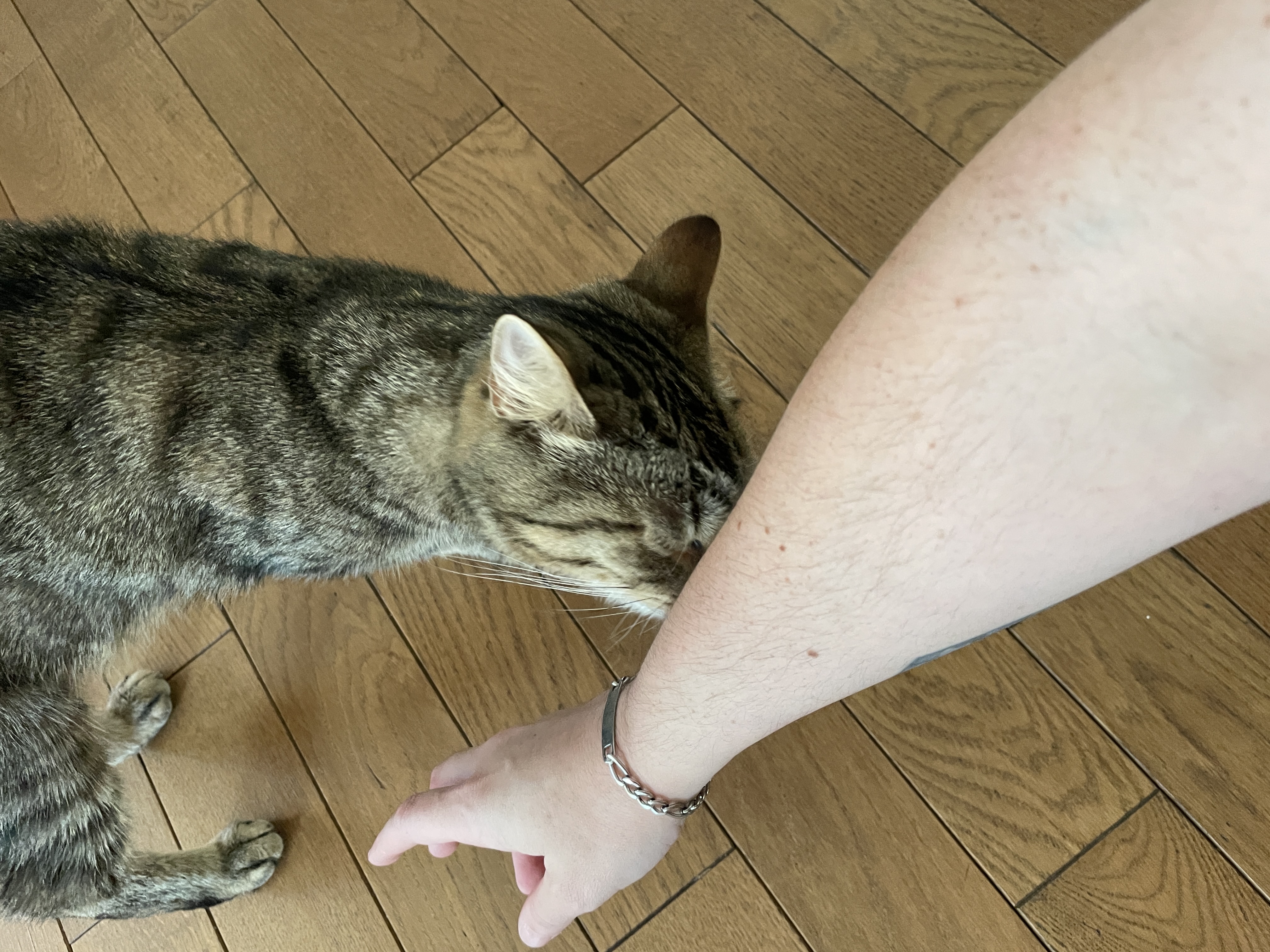 image-18