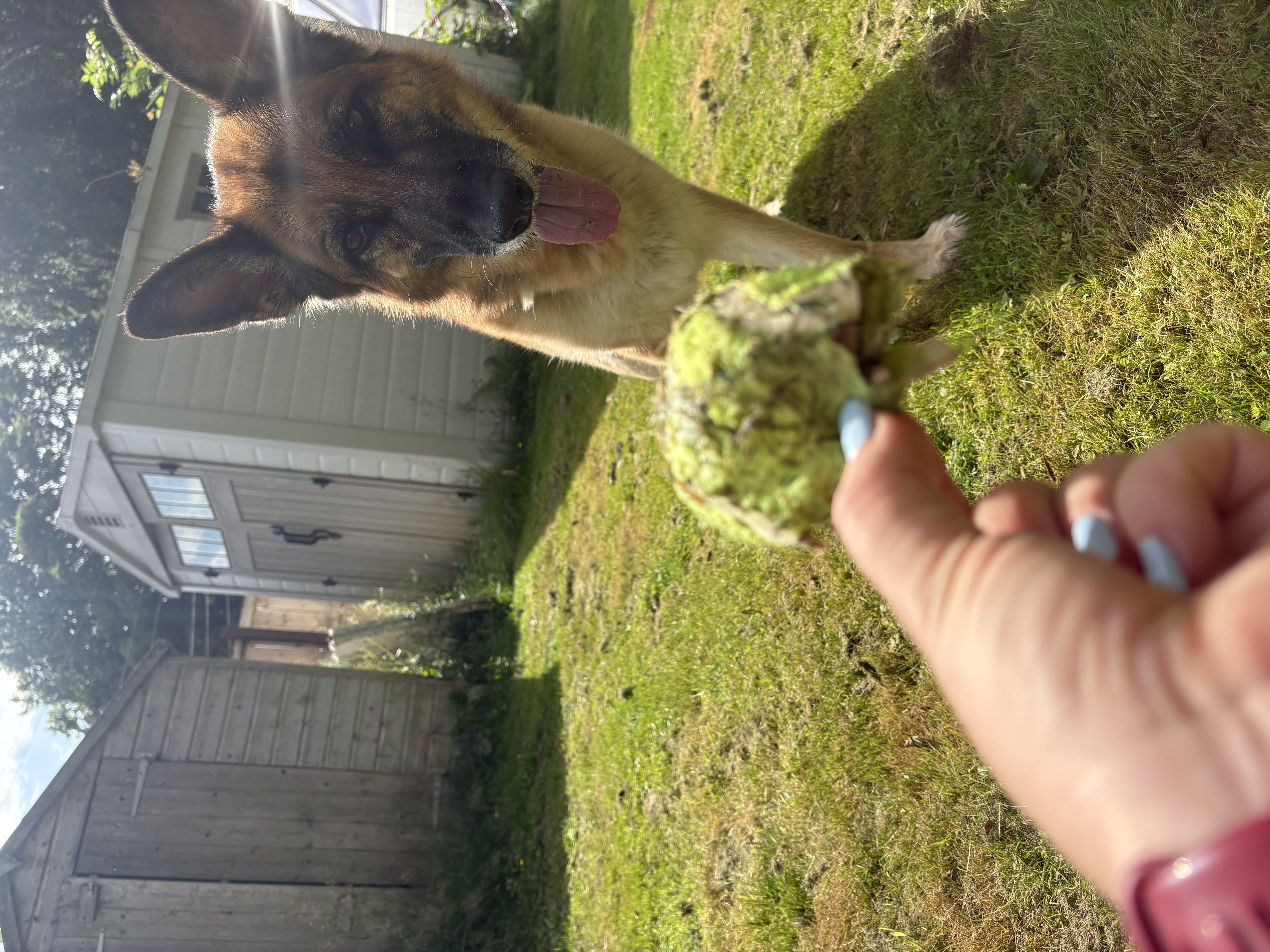 image-6