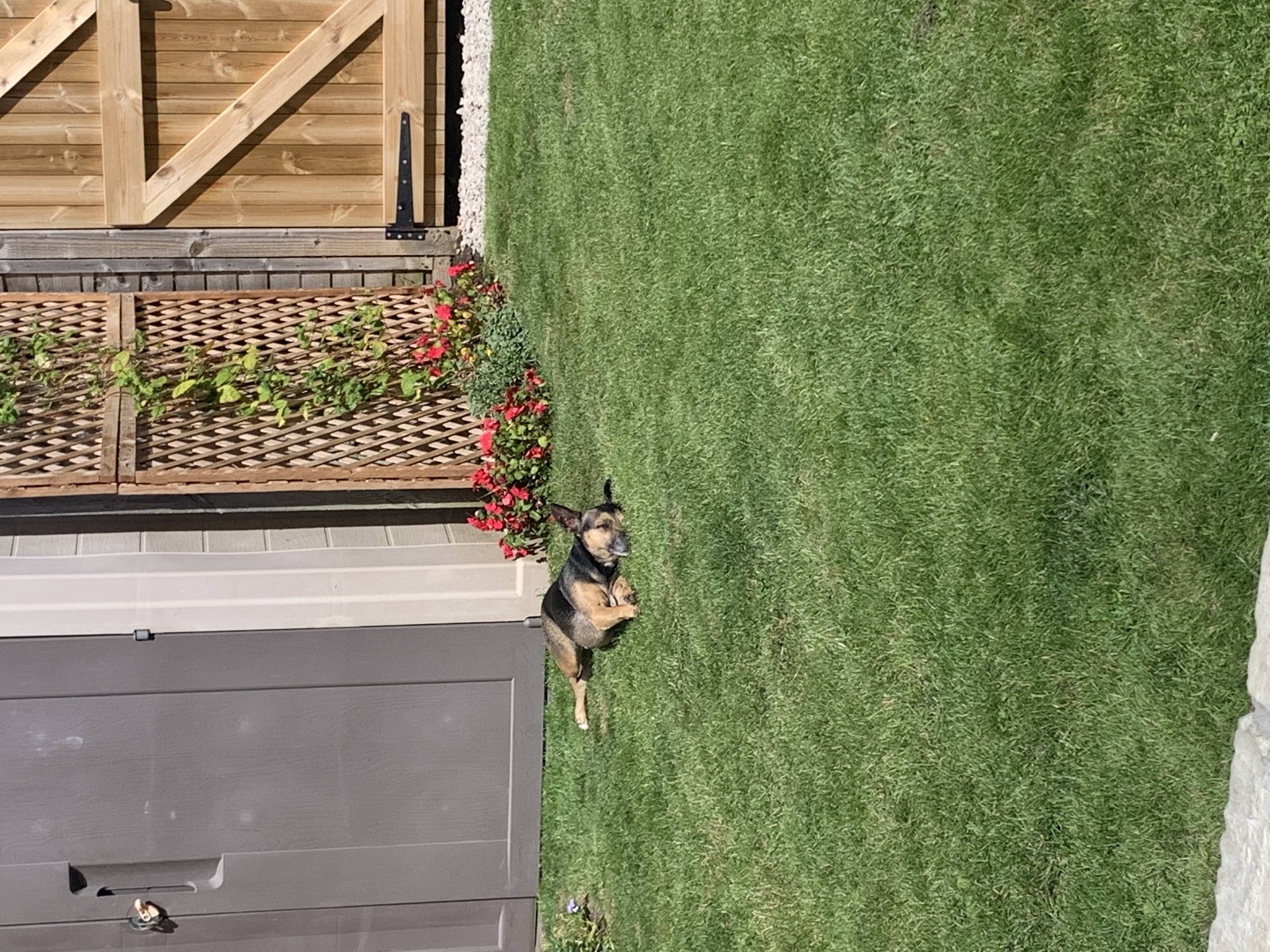 image-18