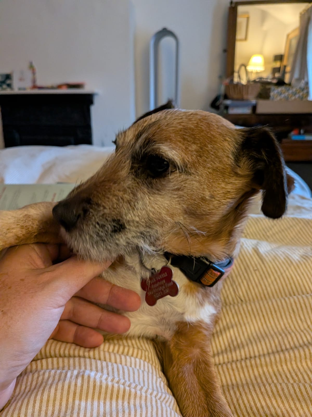 image-11