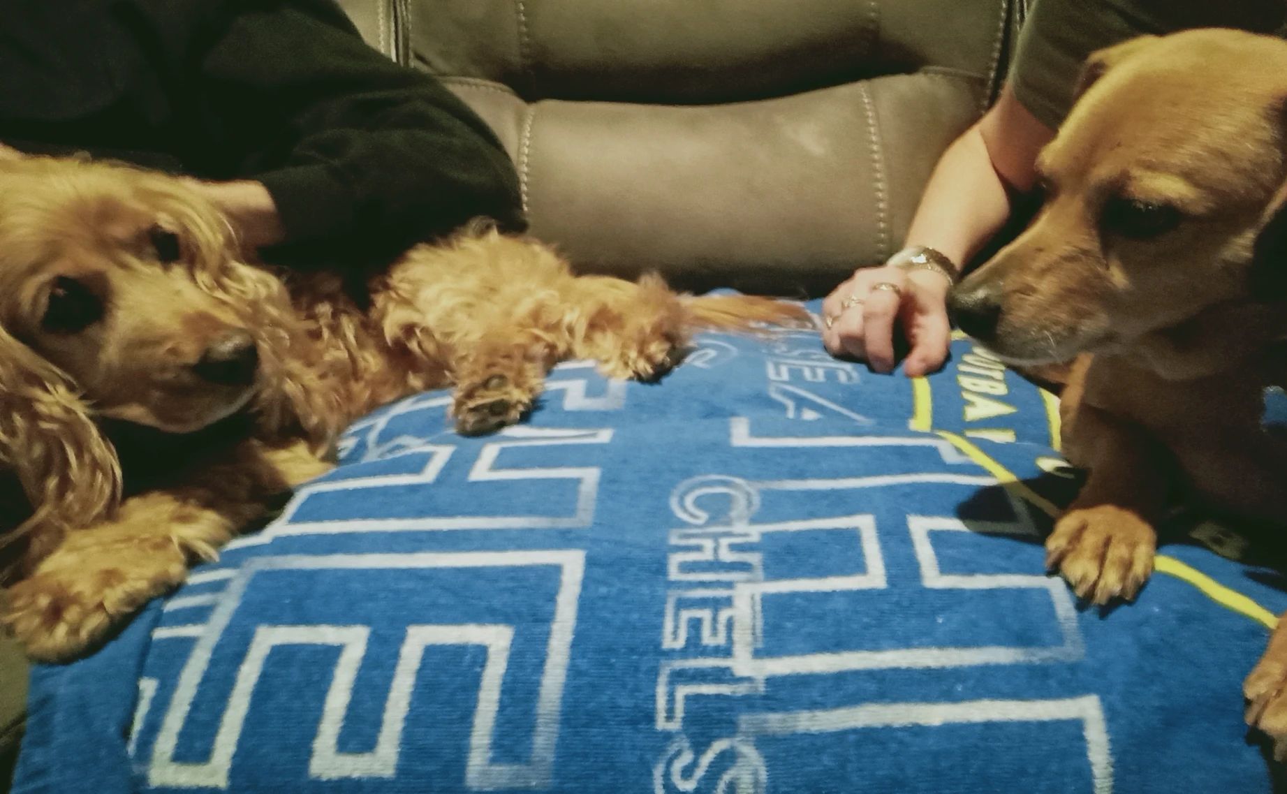 image-21