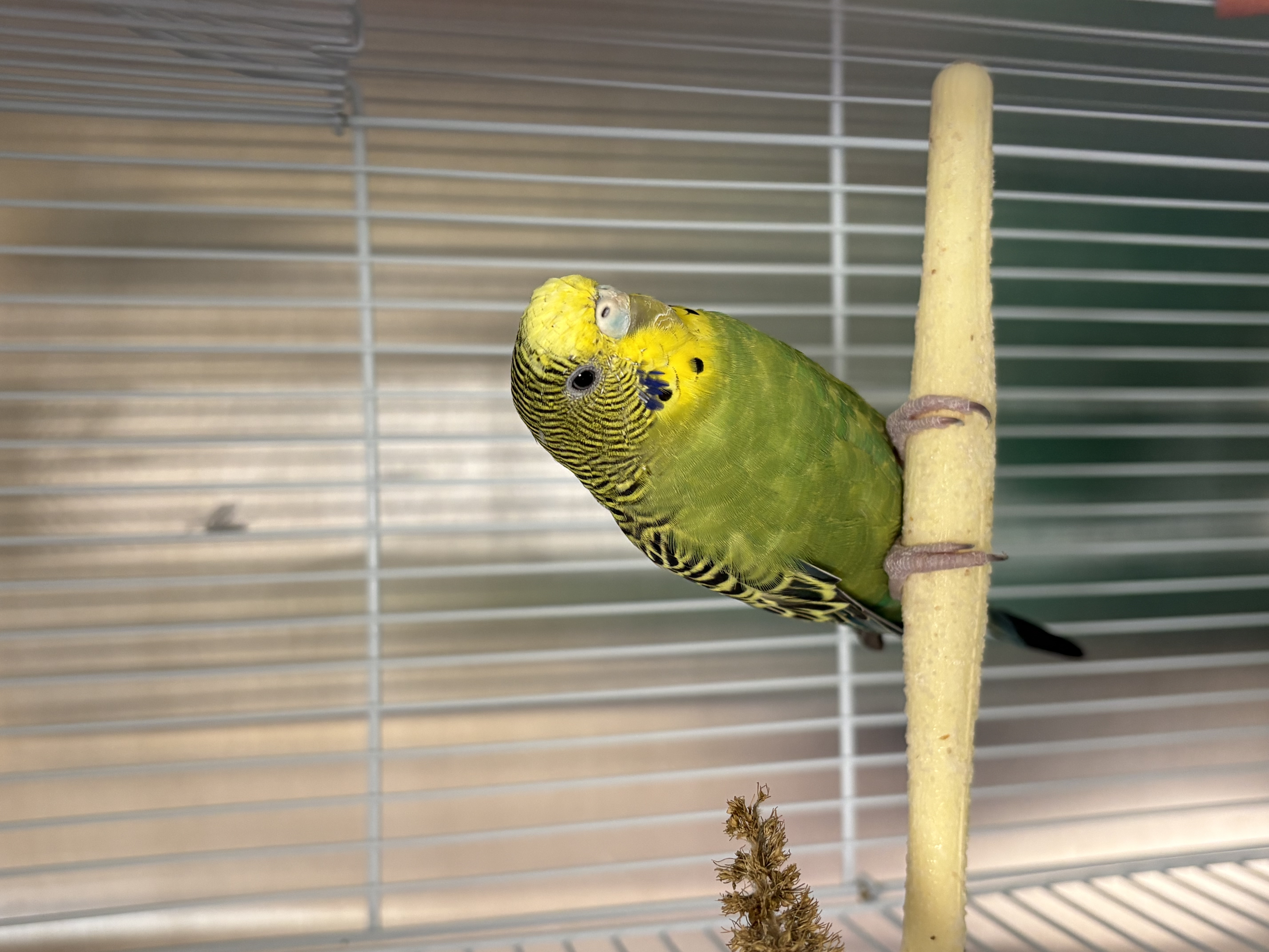 image-6