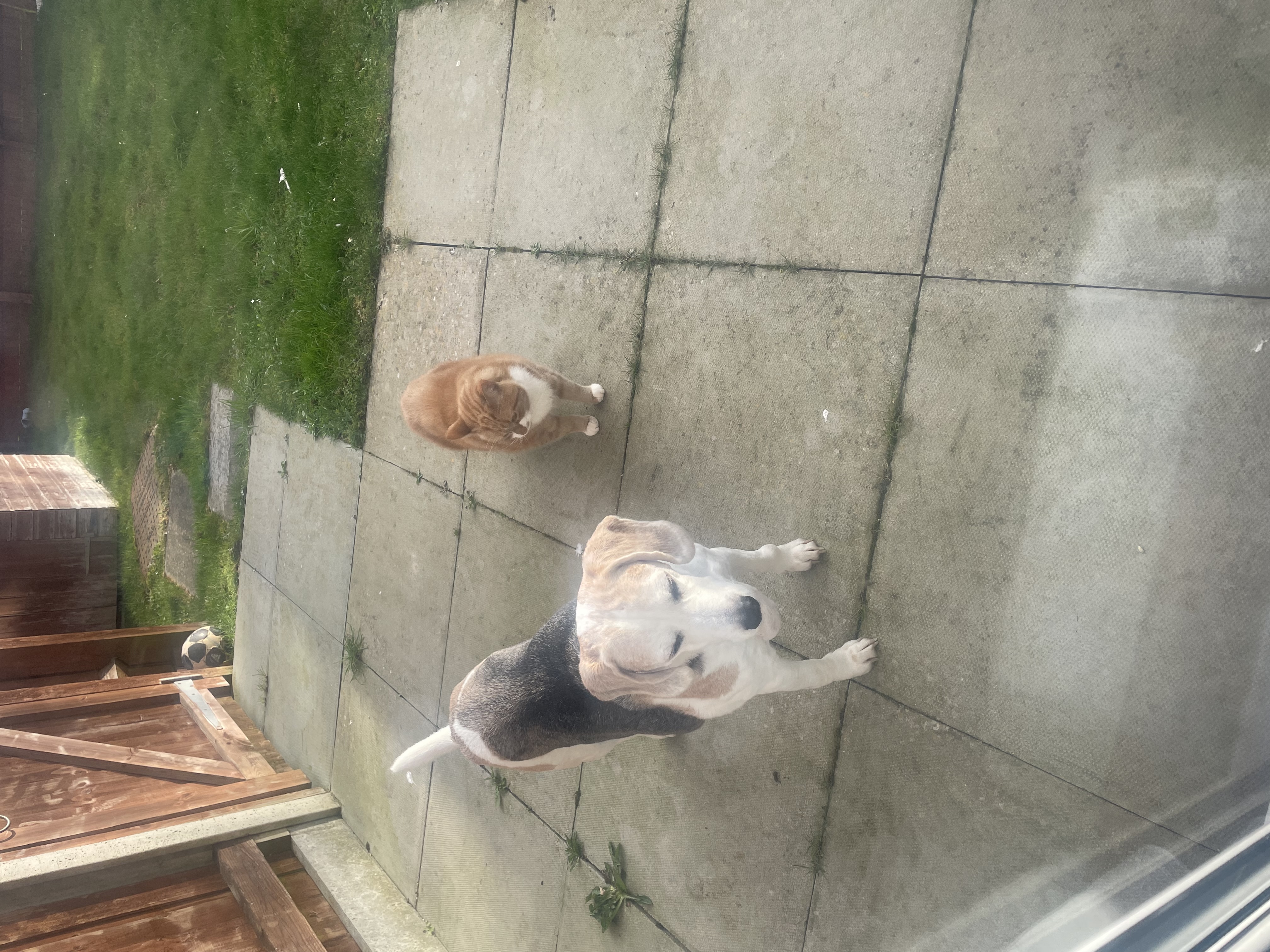 image-7