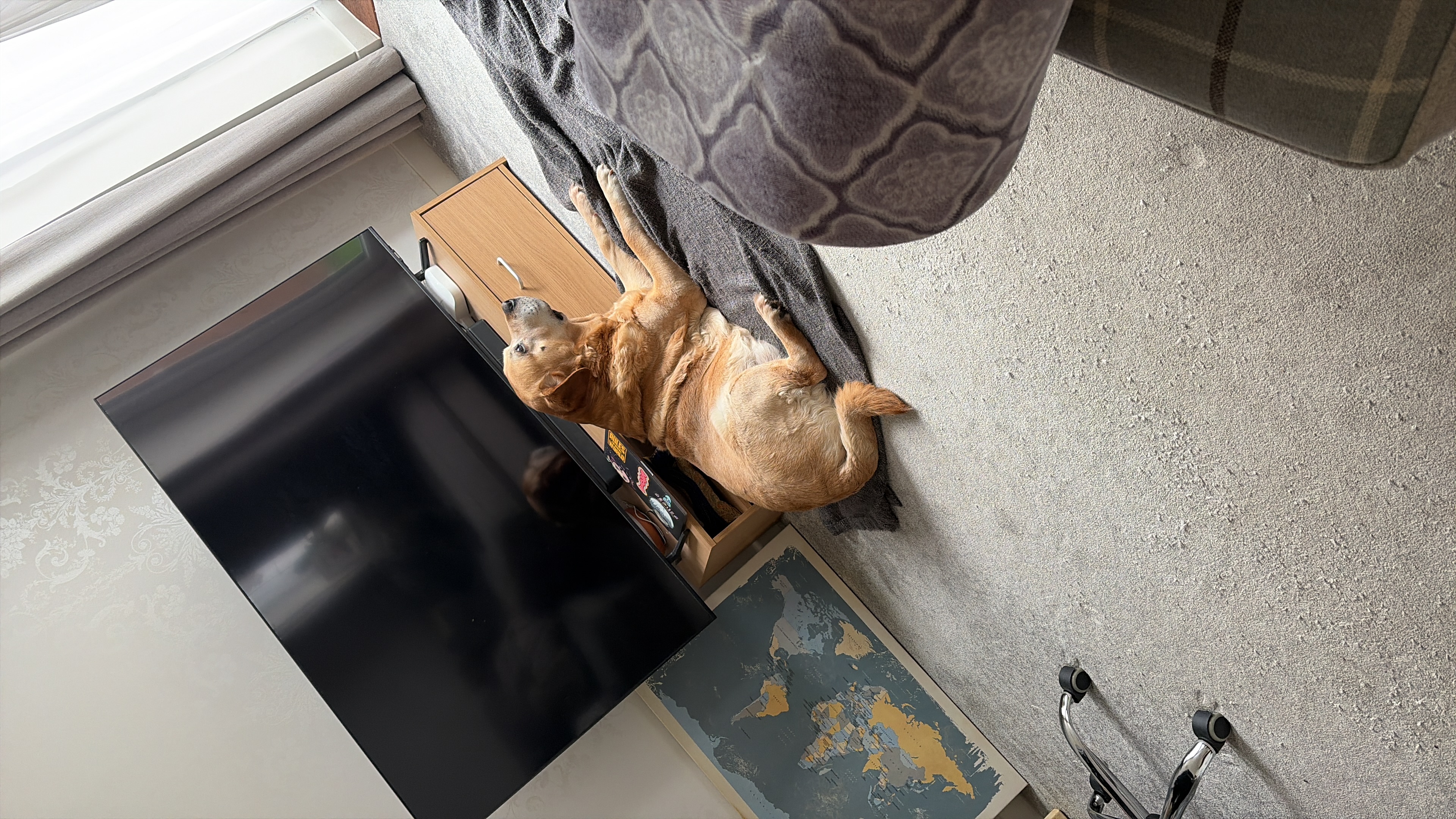 image-11