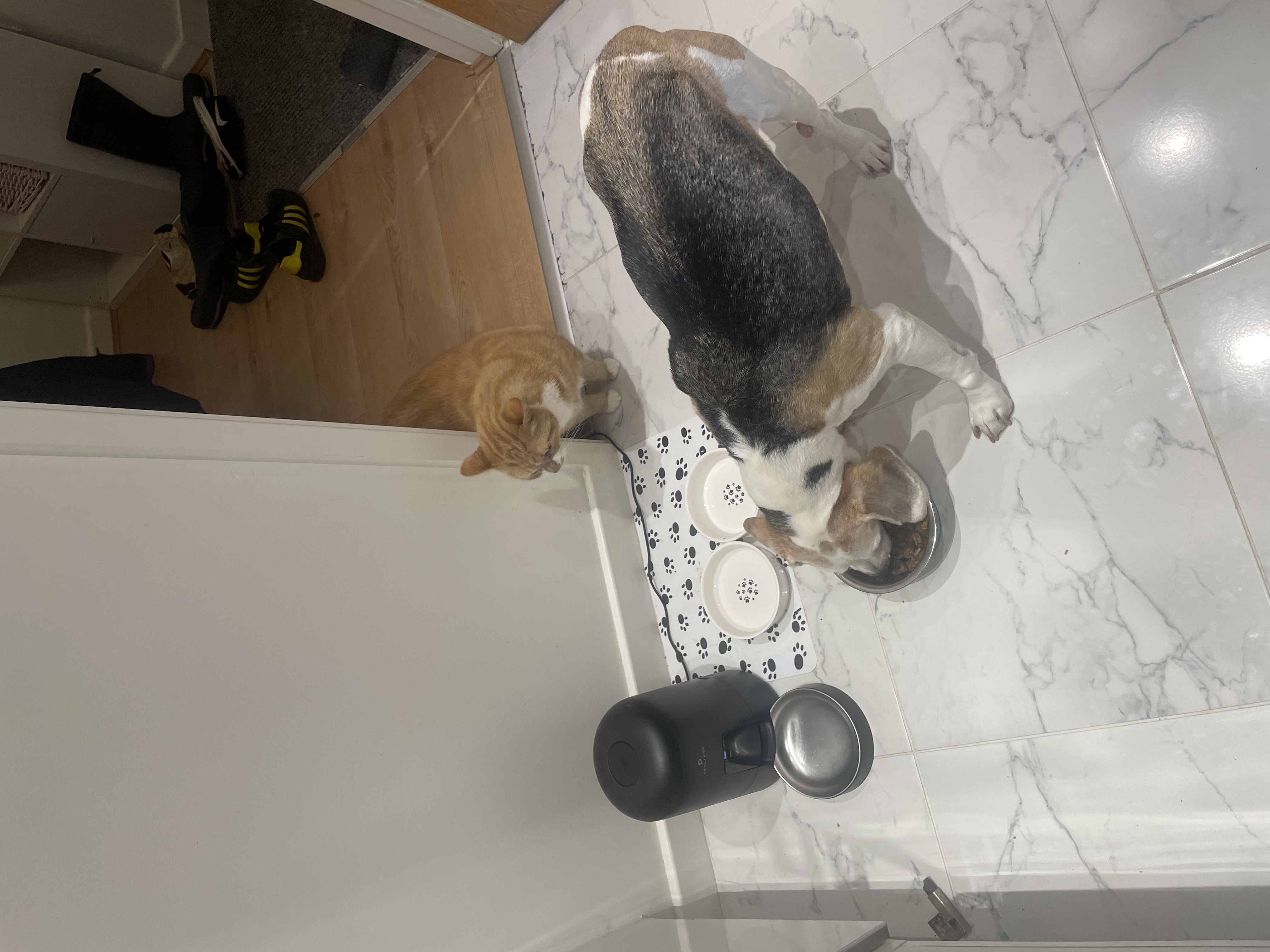 image-16