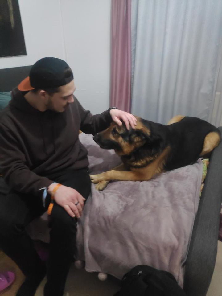 image-8