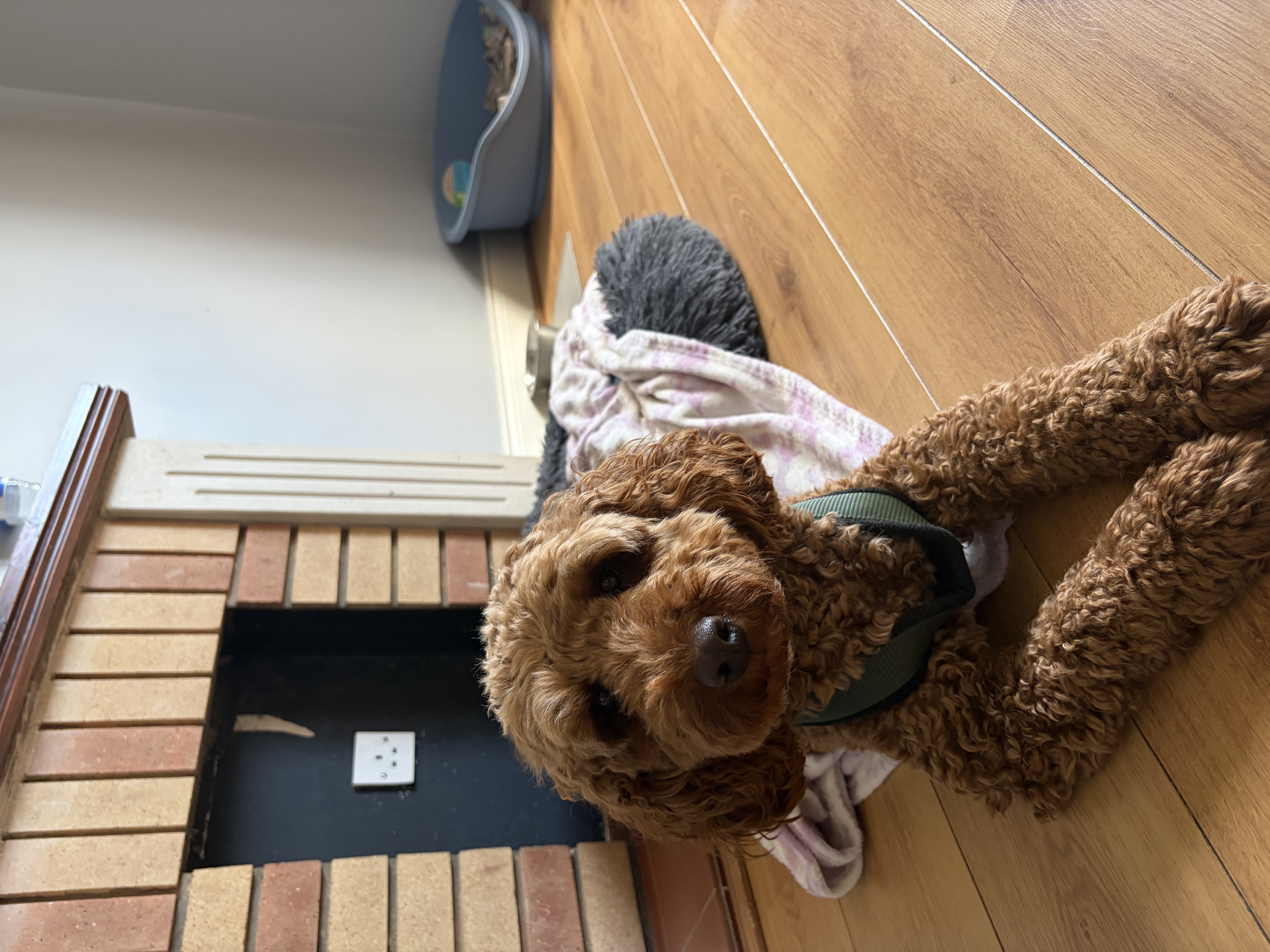 image-6