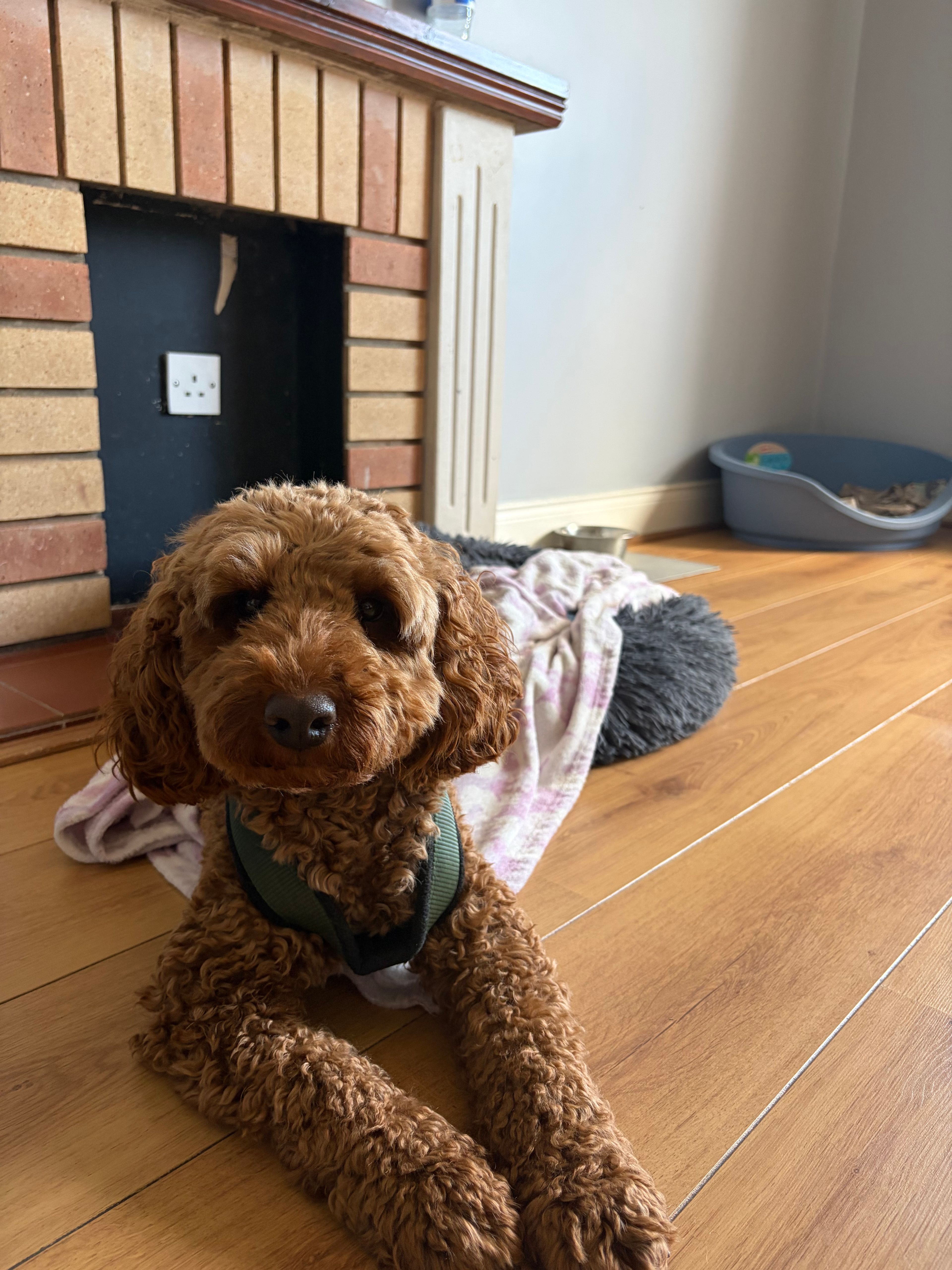 image-6