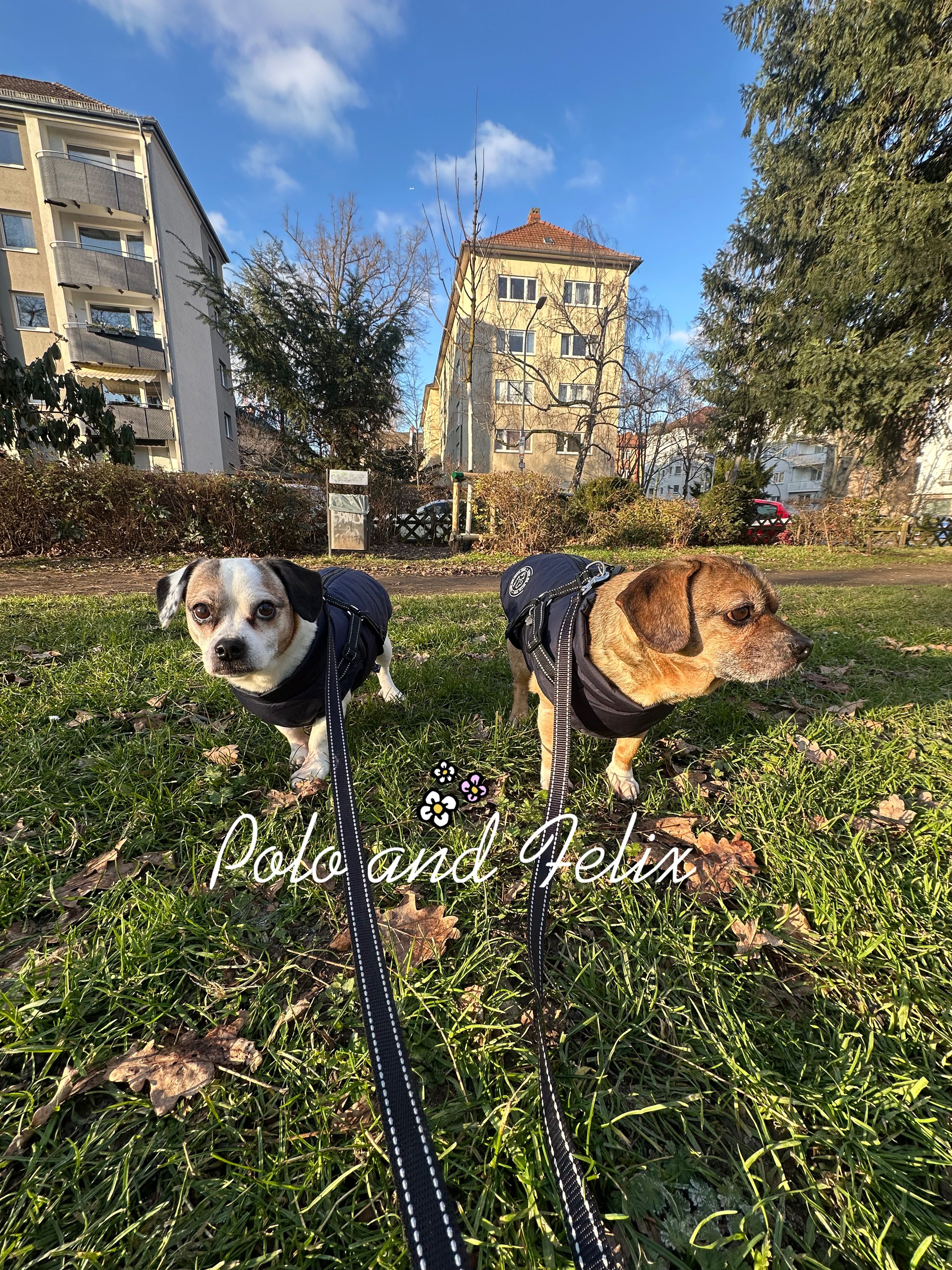 image-3