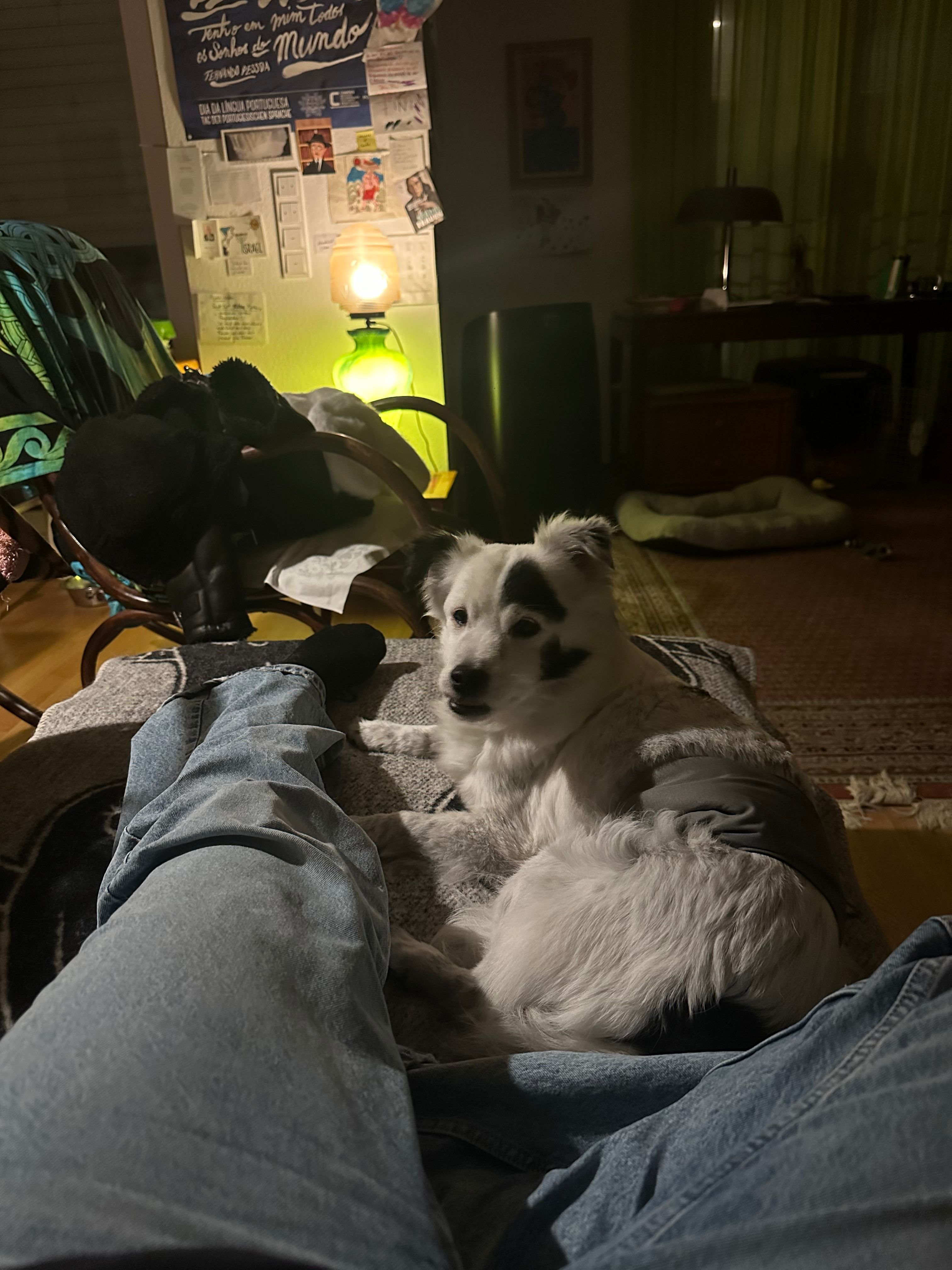image-17