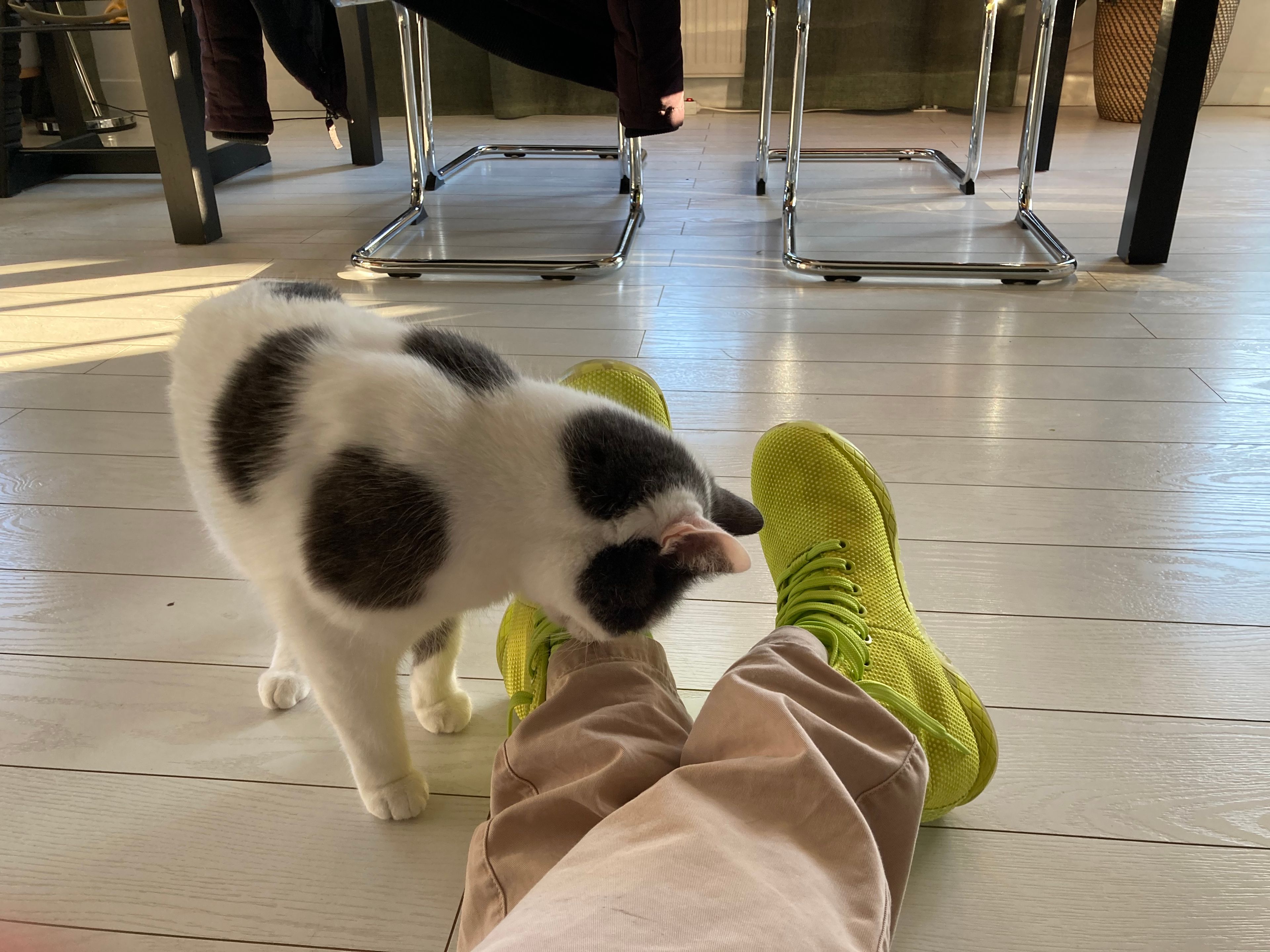 image-11