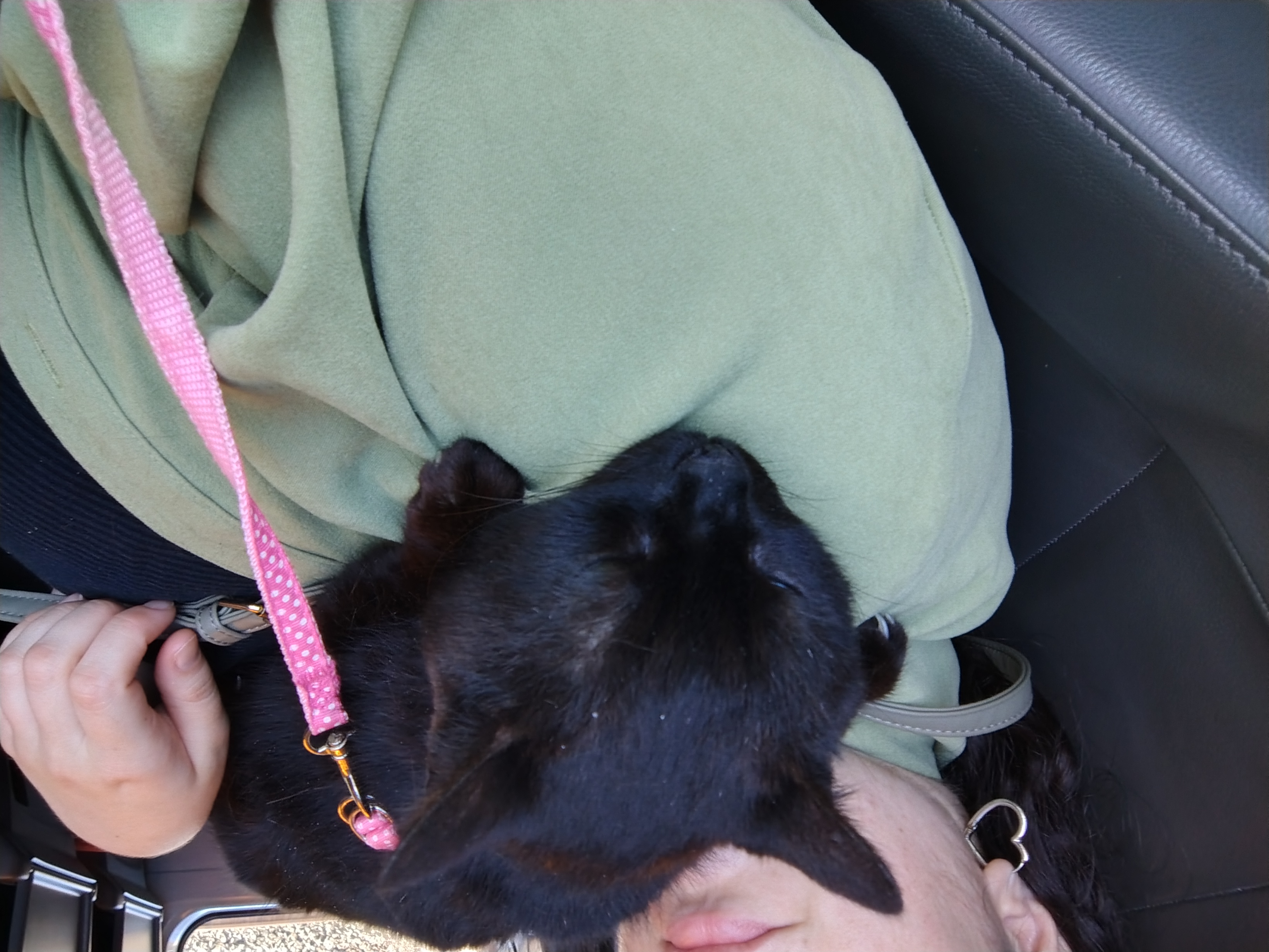 image-9