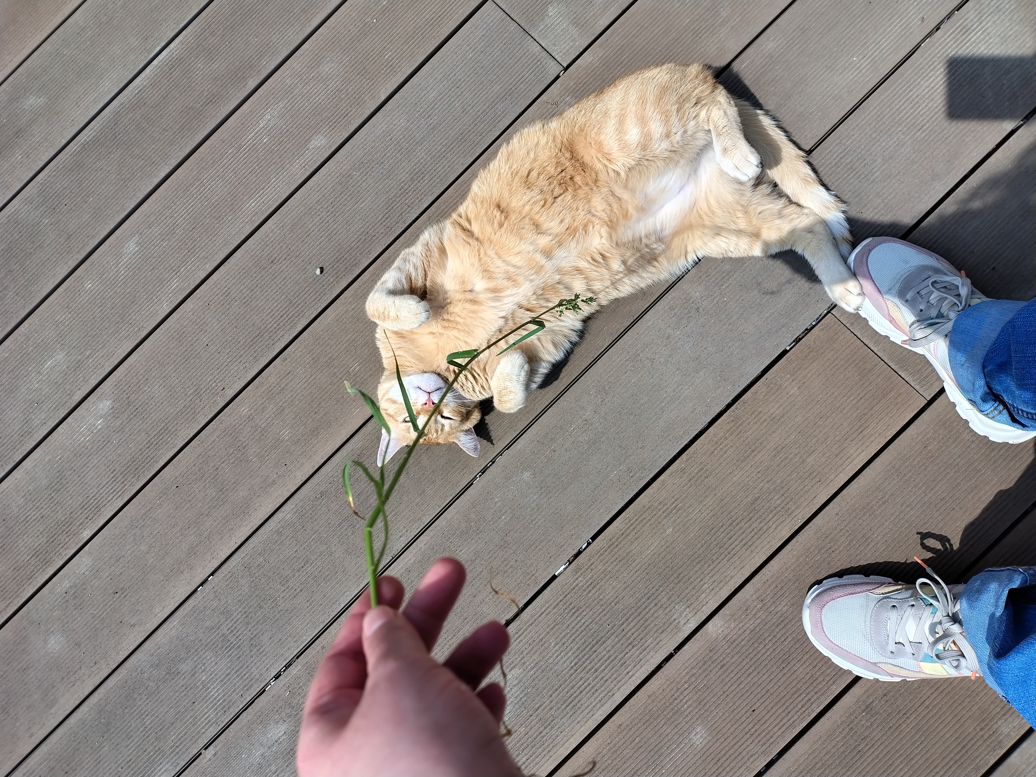 image-5