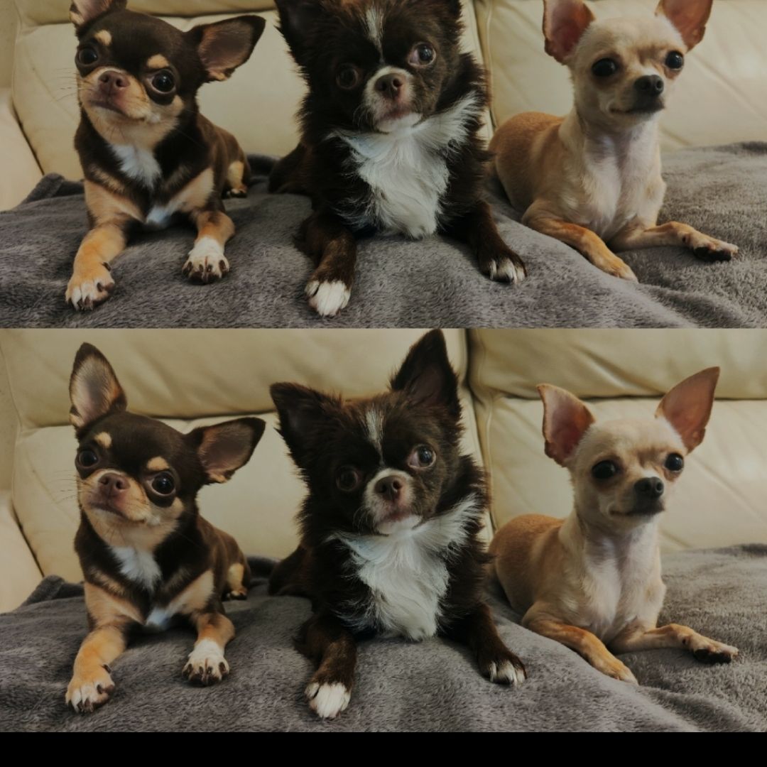 Kira Niki e Memy 
