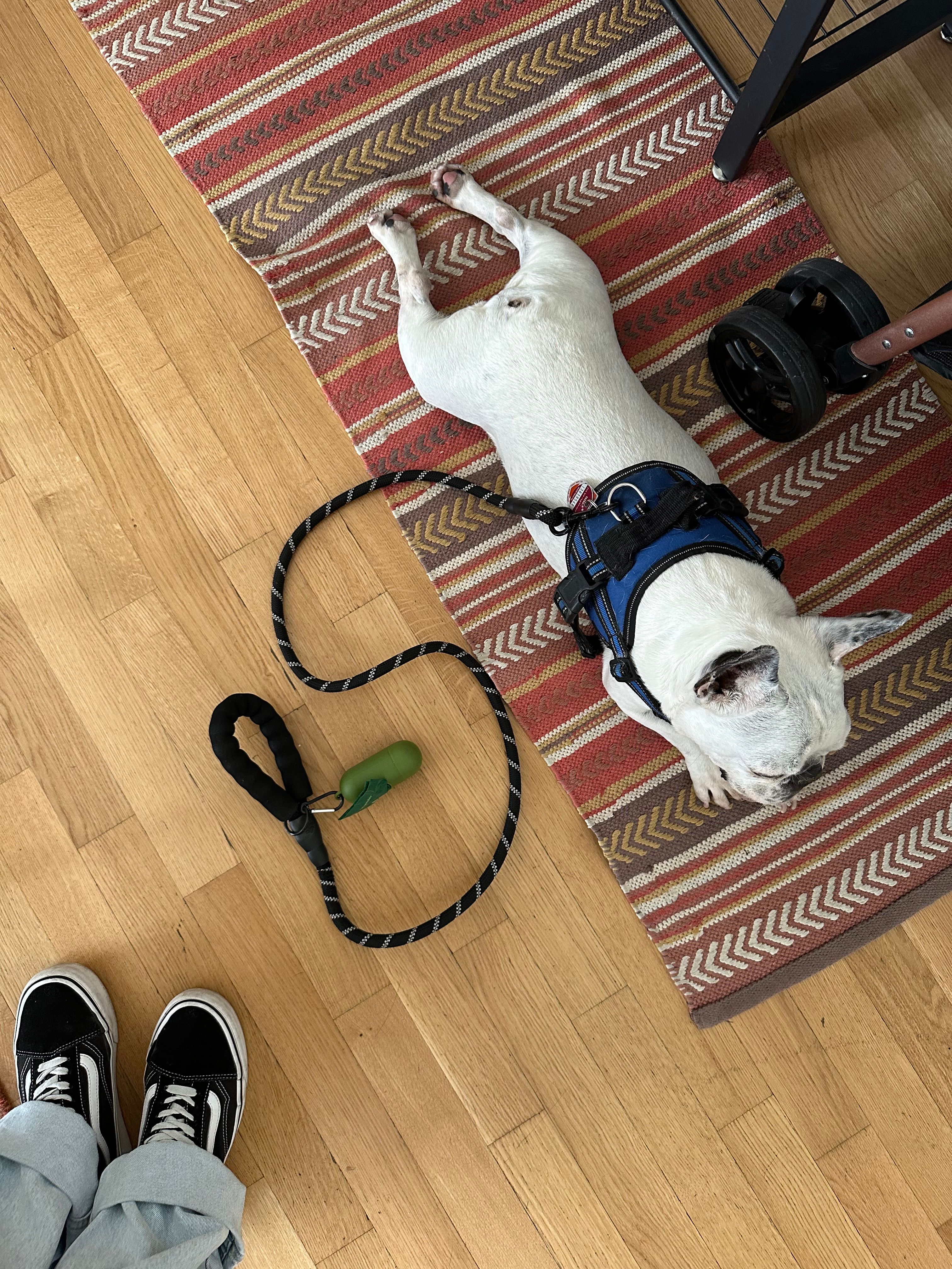 image-17