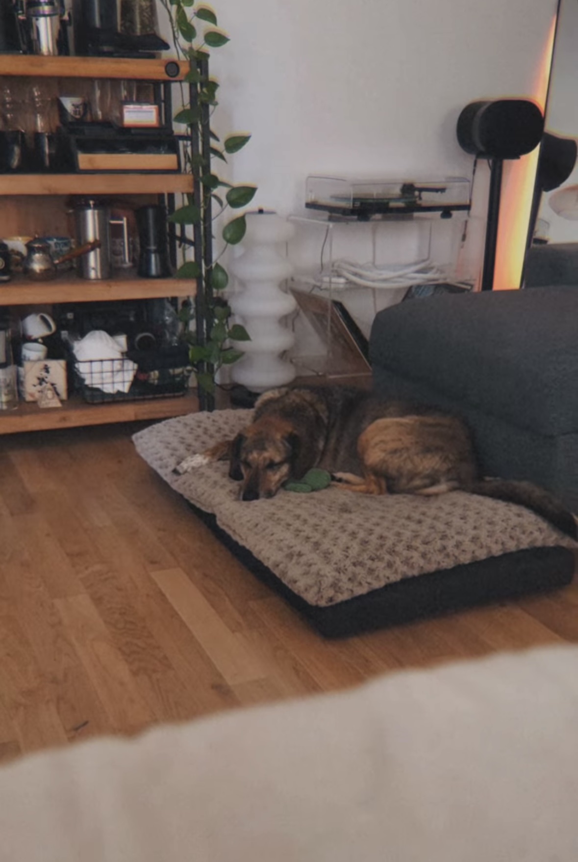 image-16