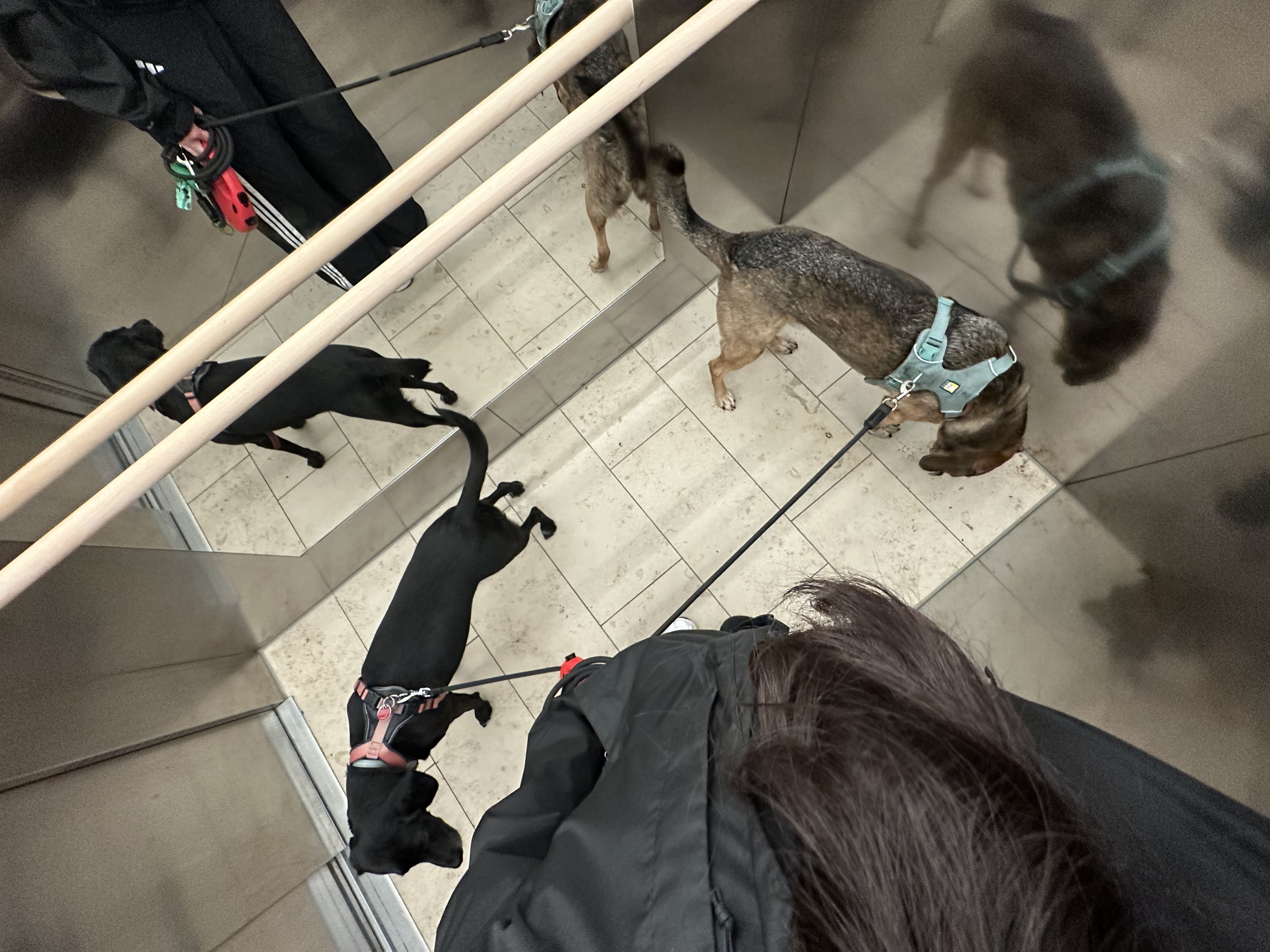 image-9
