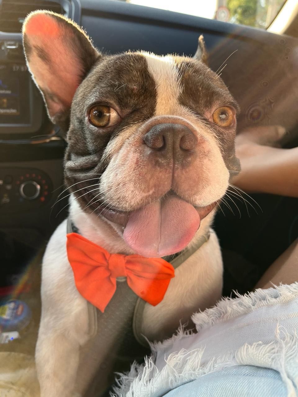 image-5