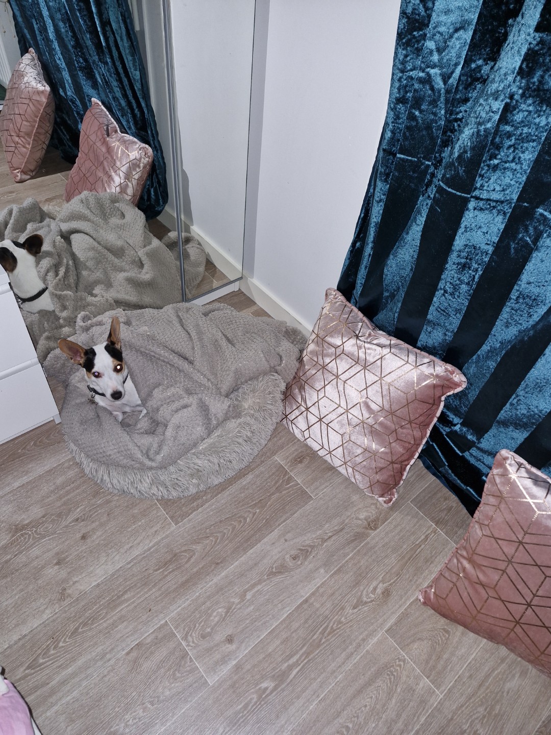 image-5