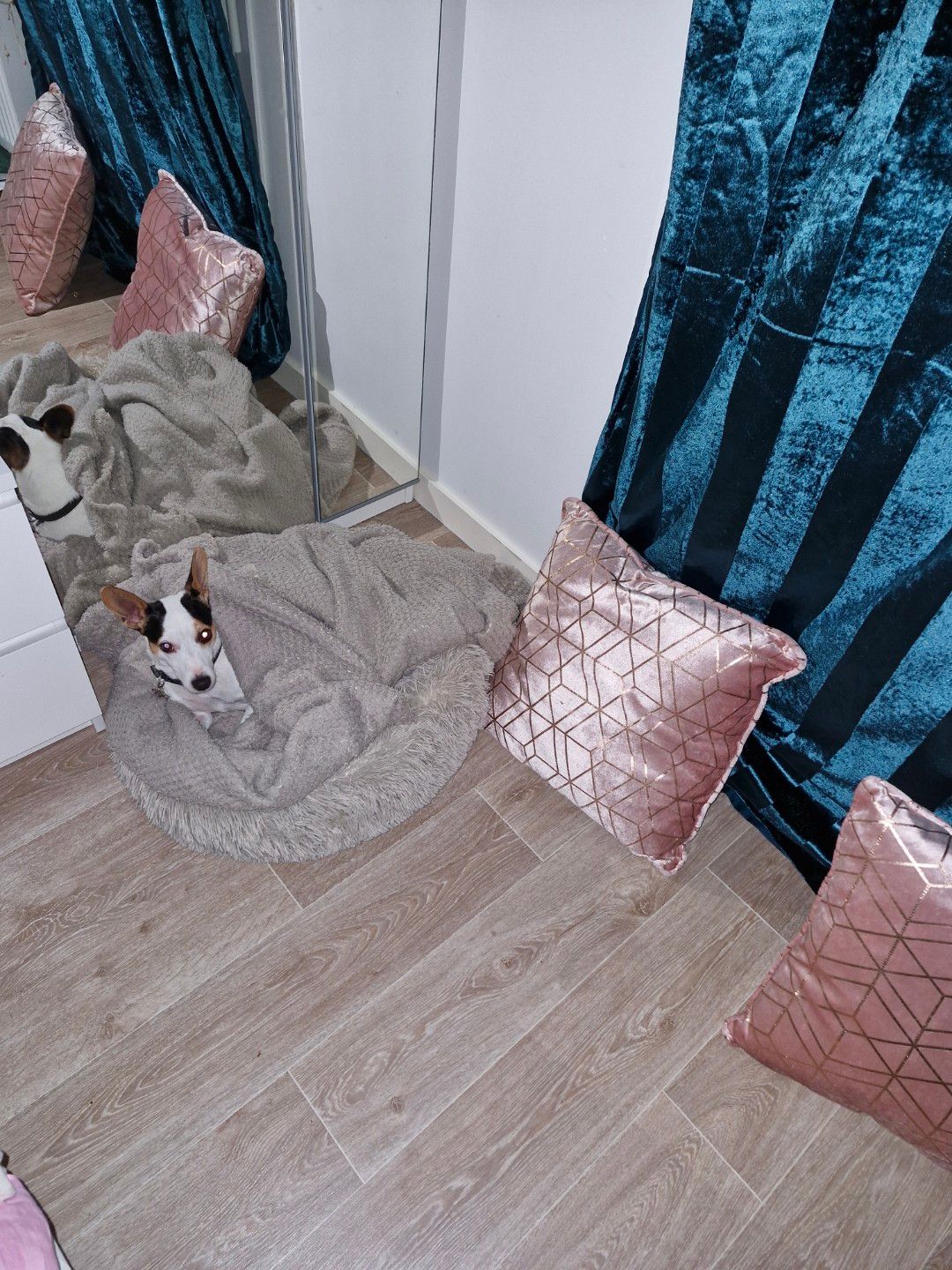 image-5