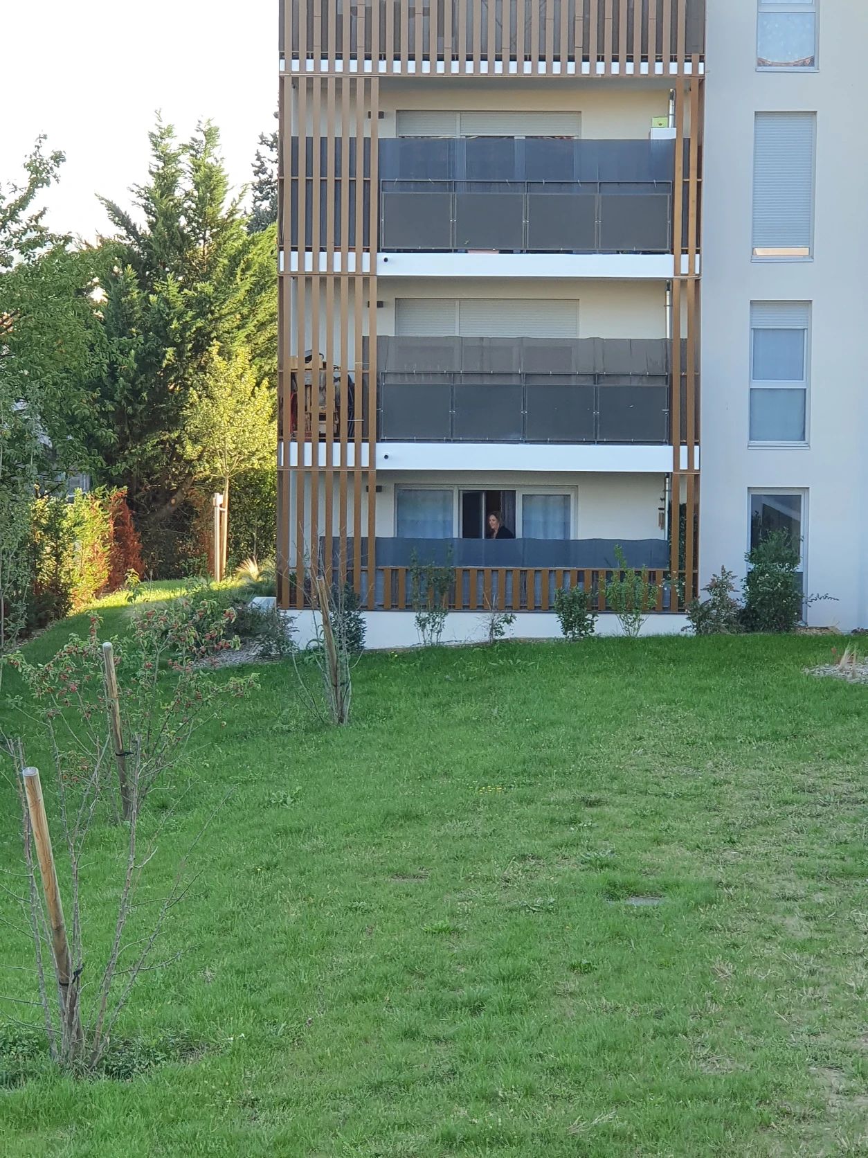 image-25