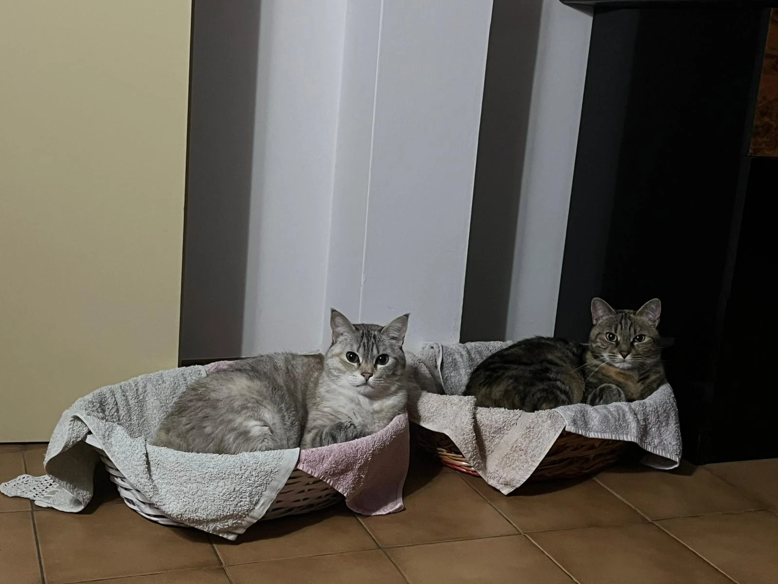 image-9