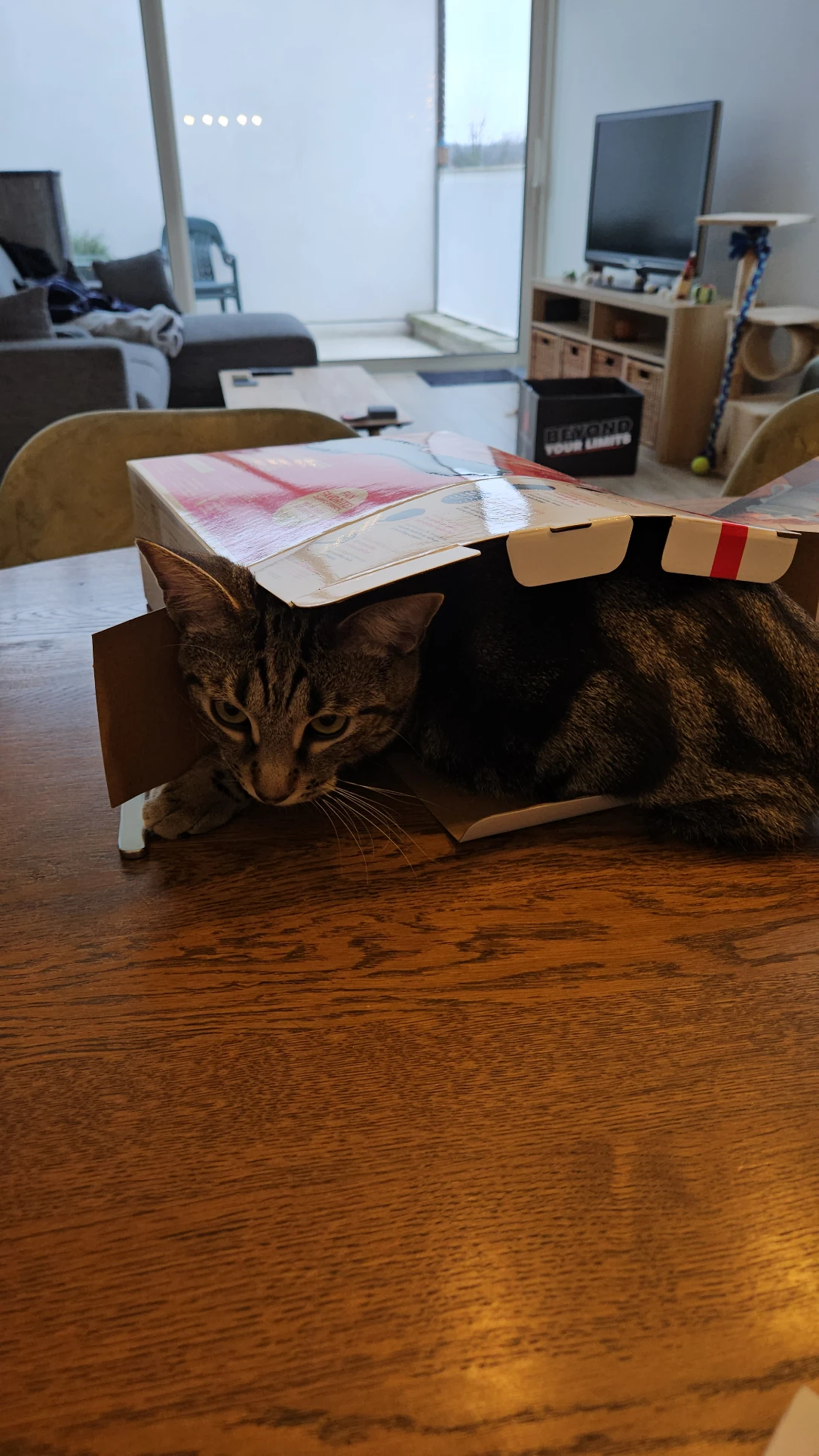 image-7