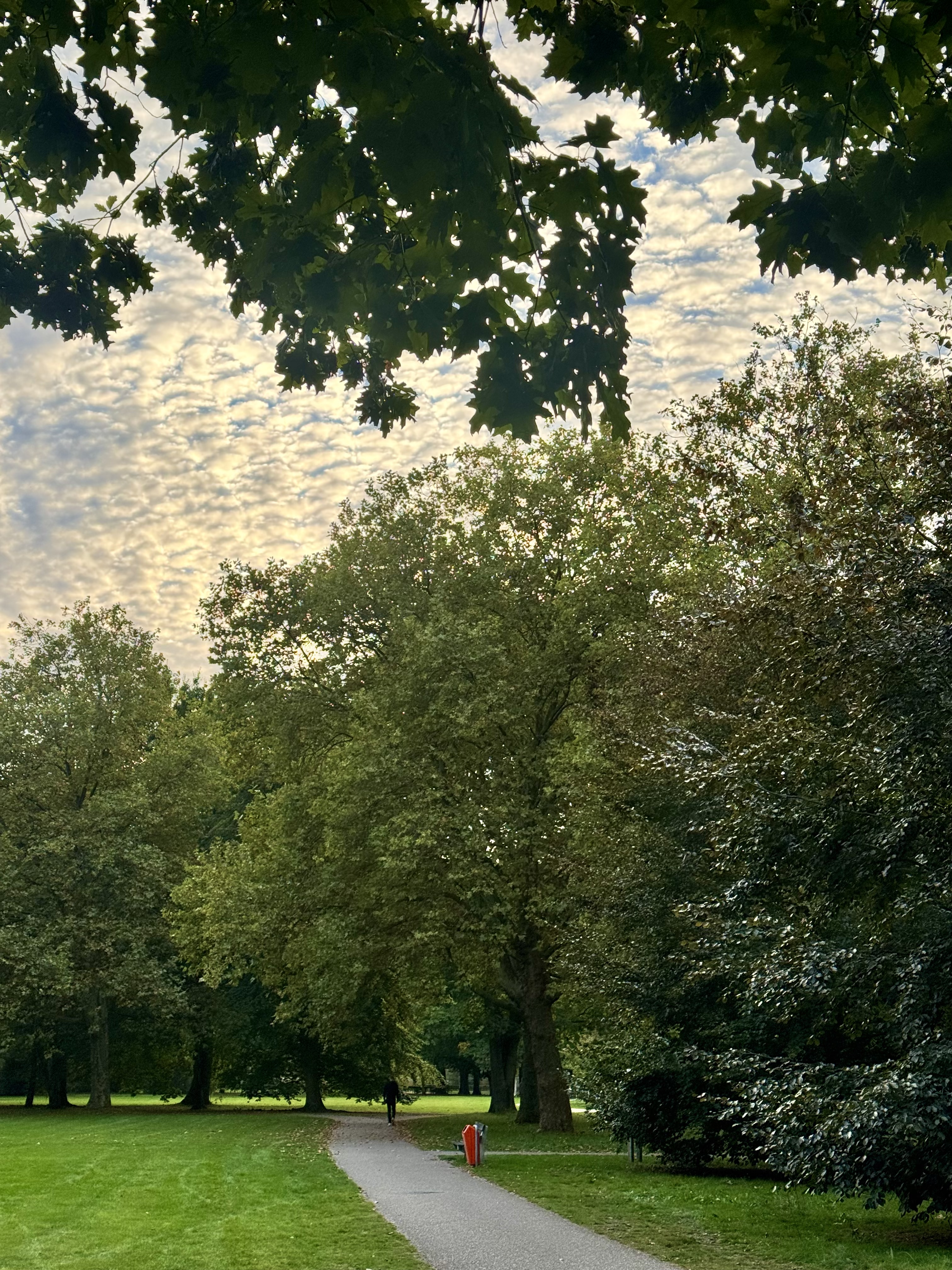 image-15