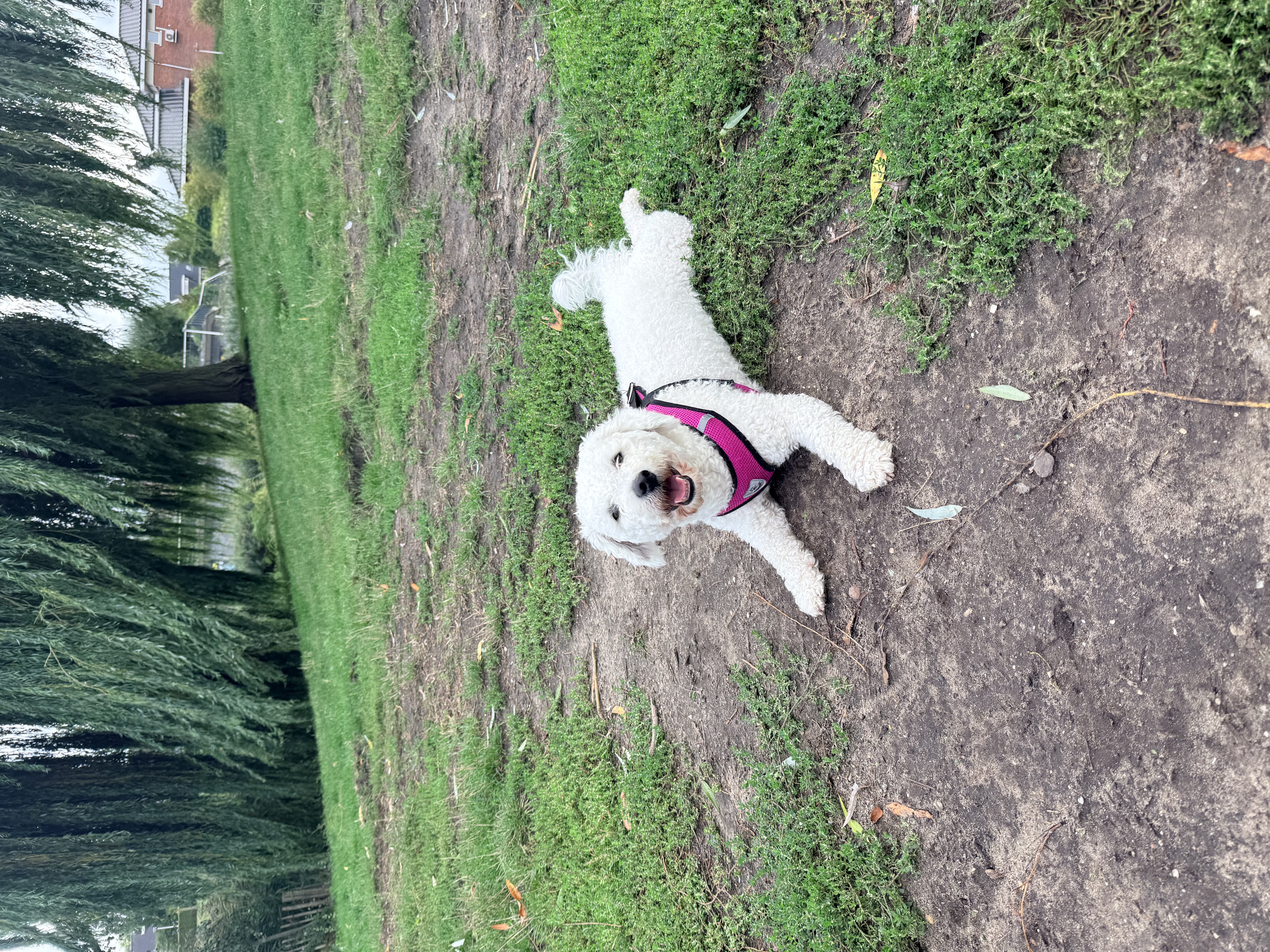 image-29