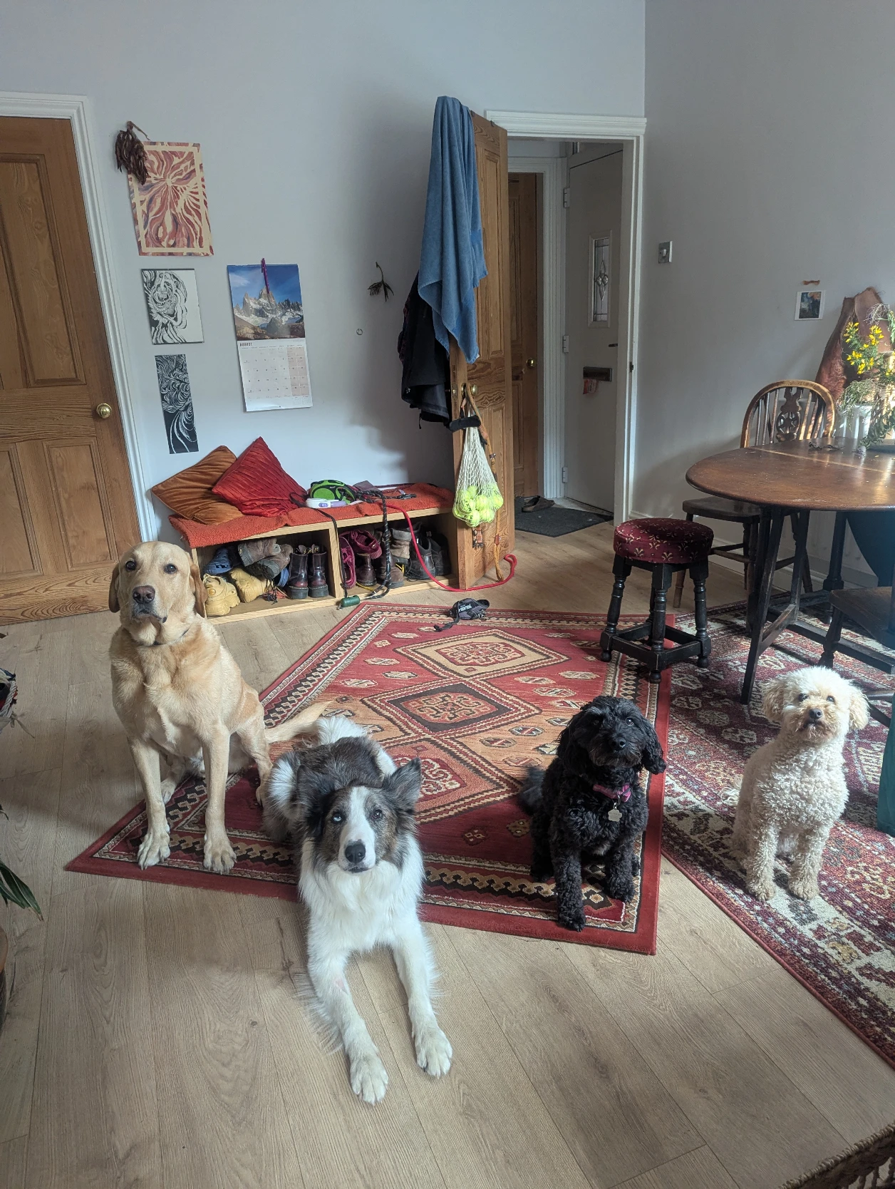 image-16