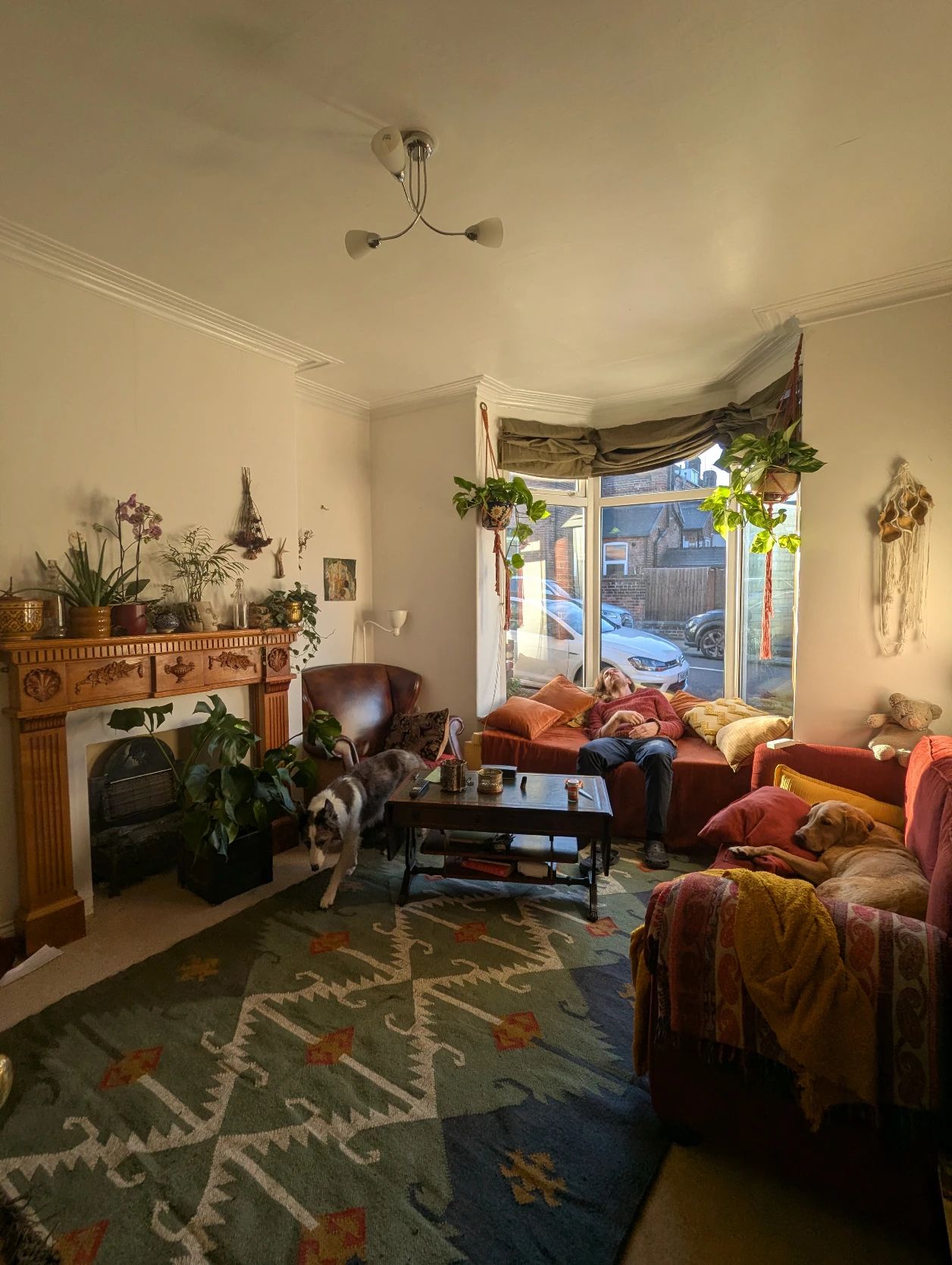 image-19