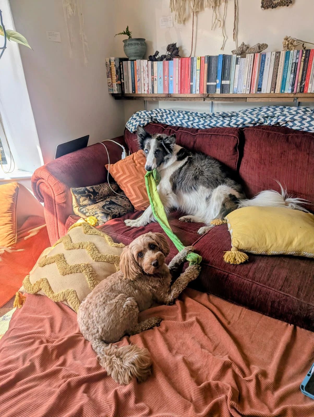 image-14