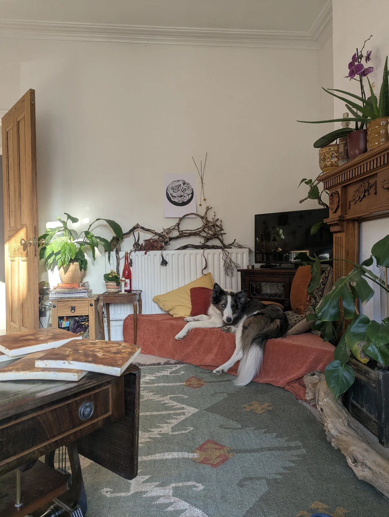 image-13