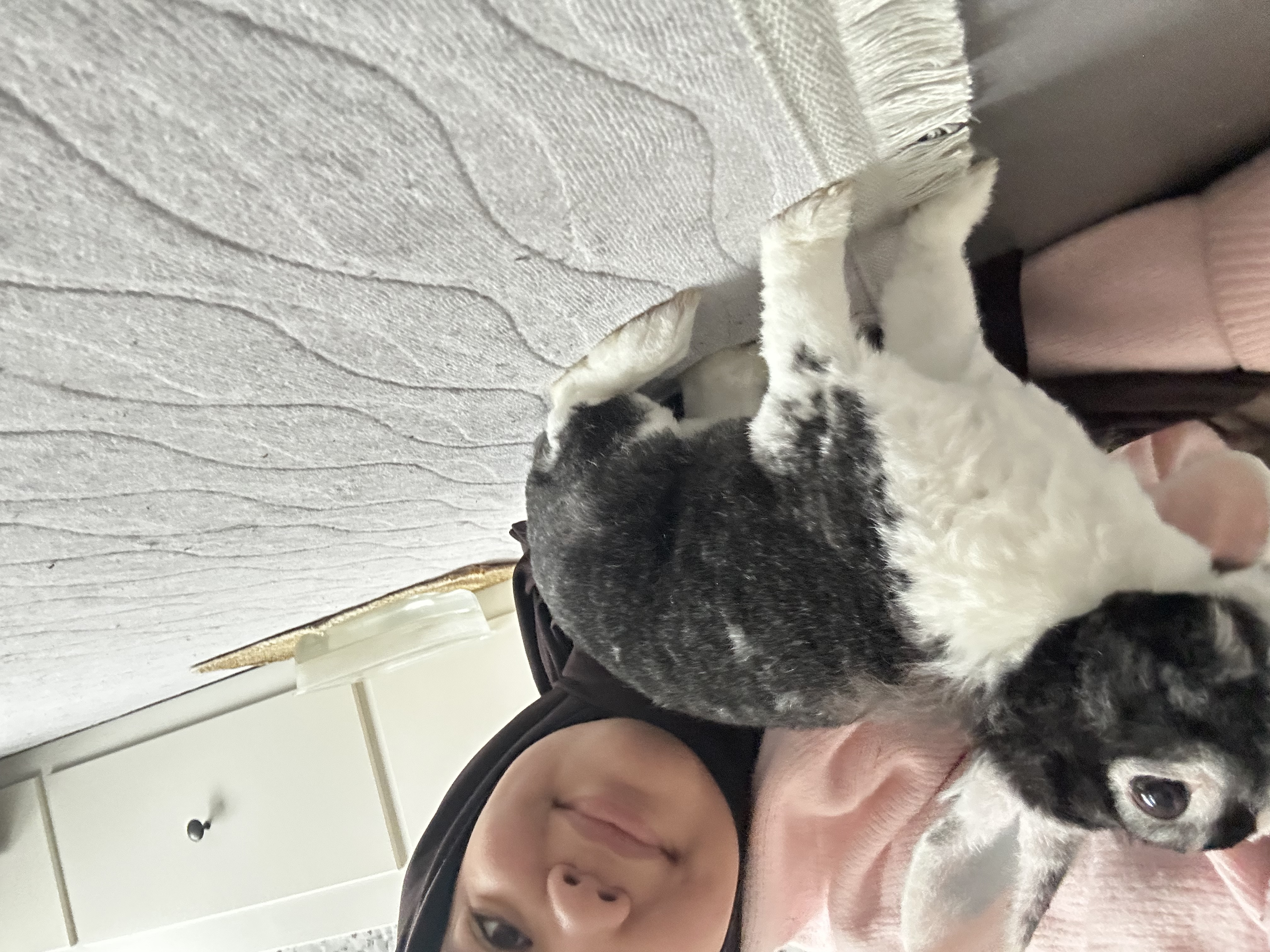image-7