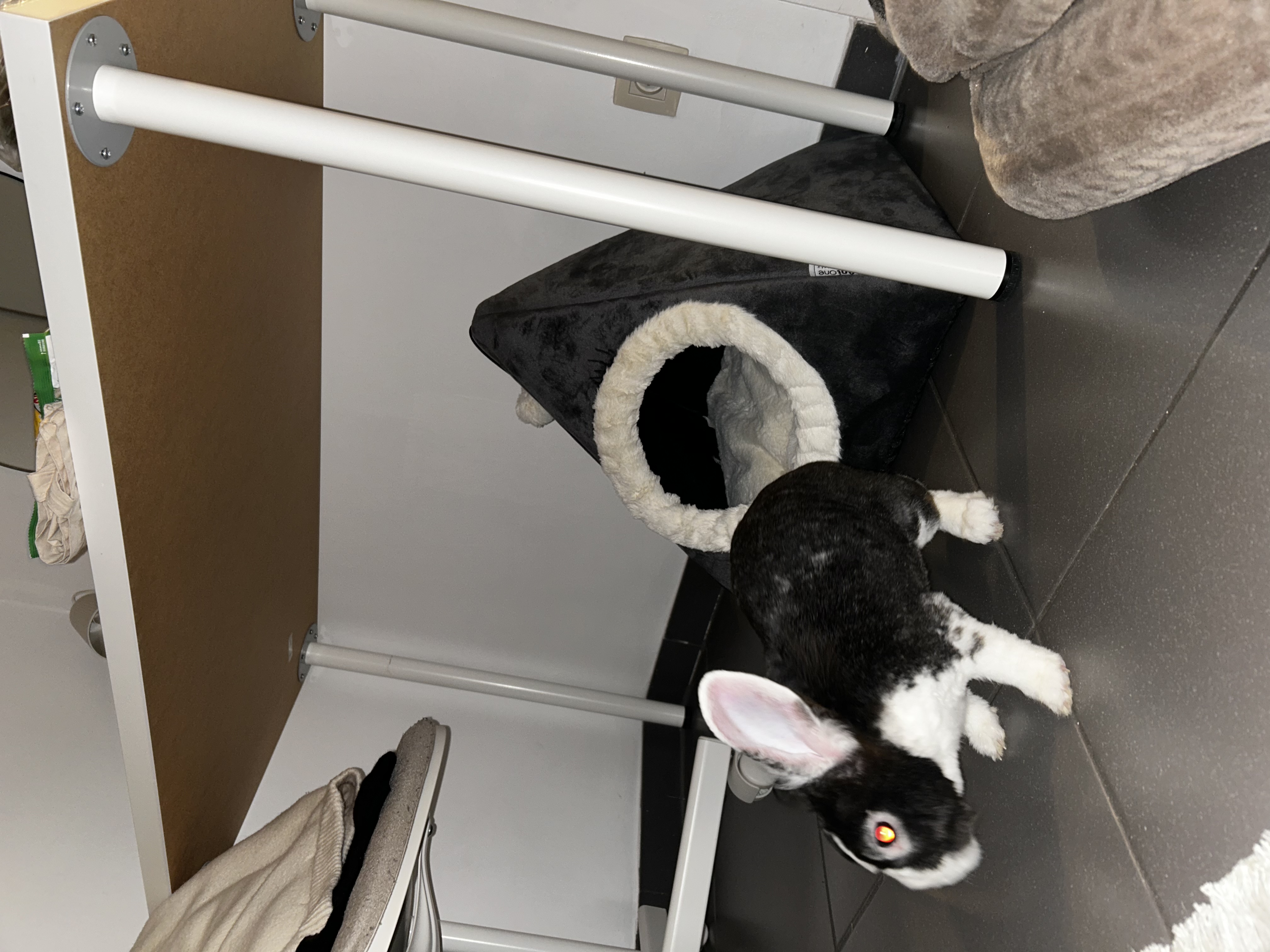 image-19