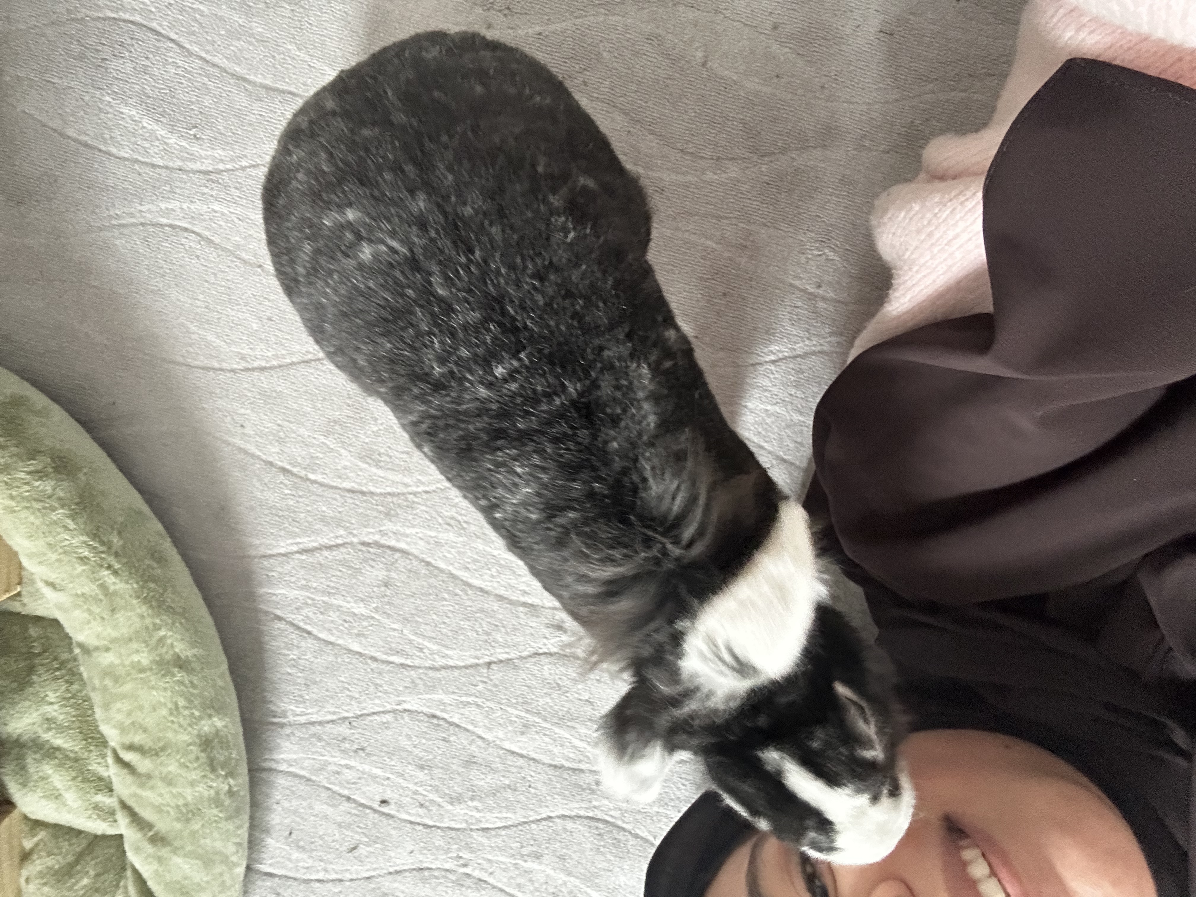 image-11