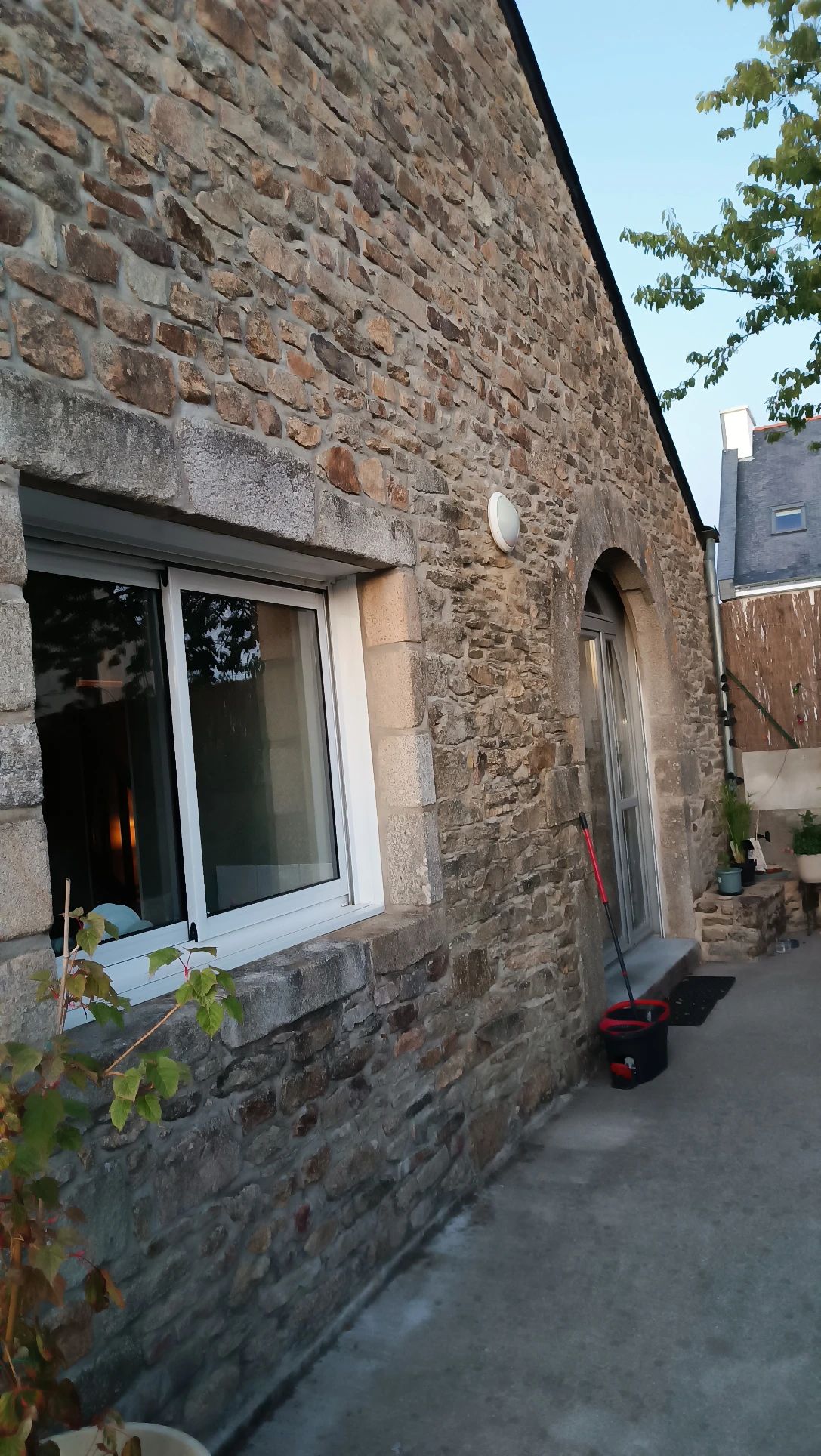image-7