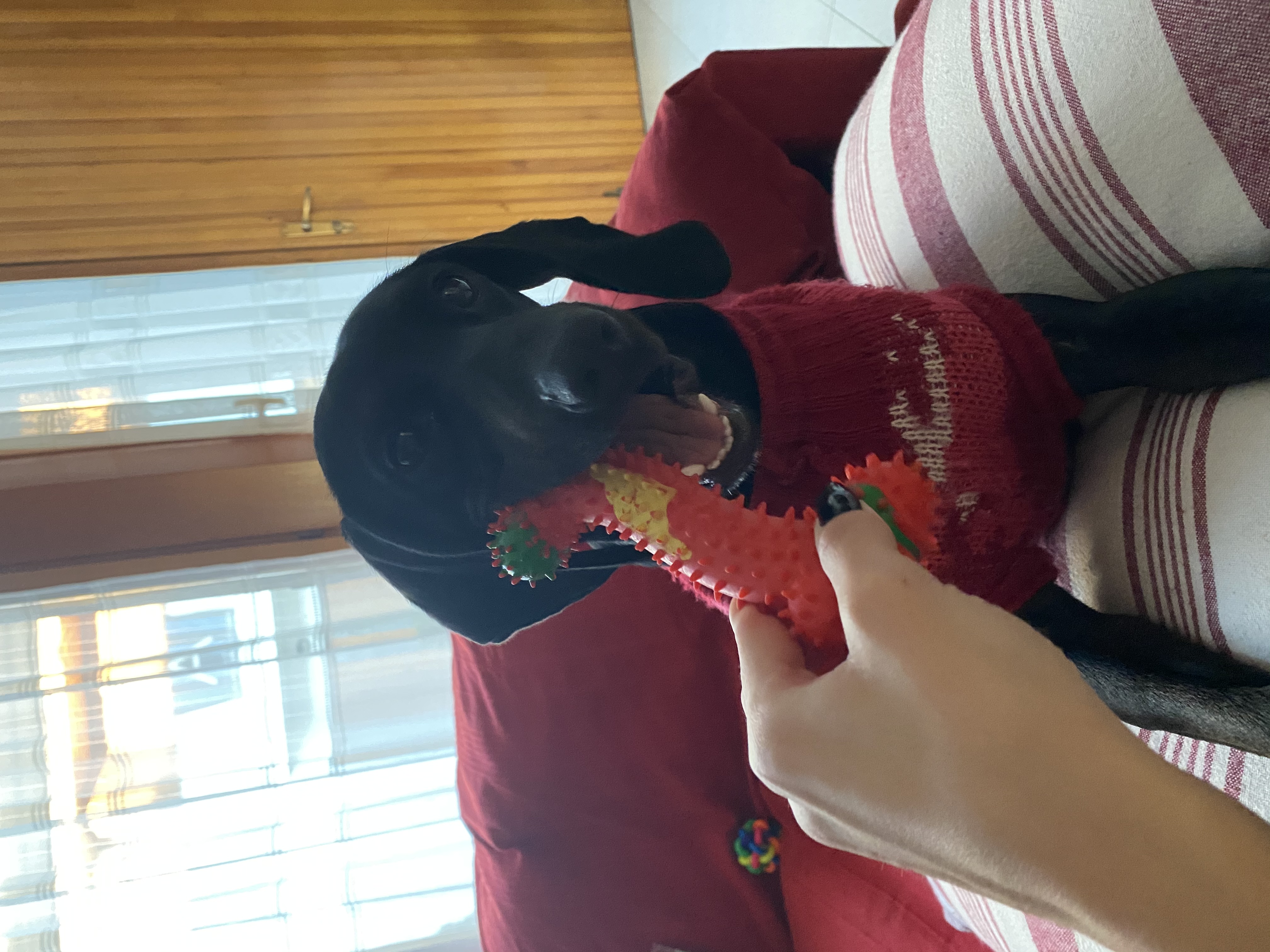 image-12