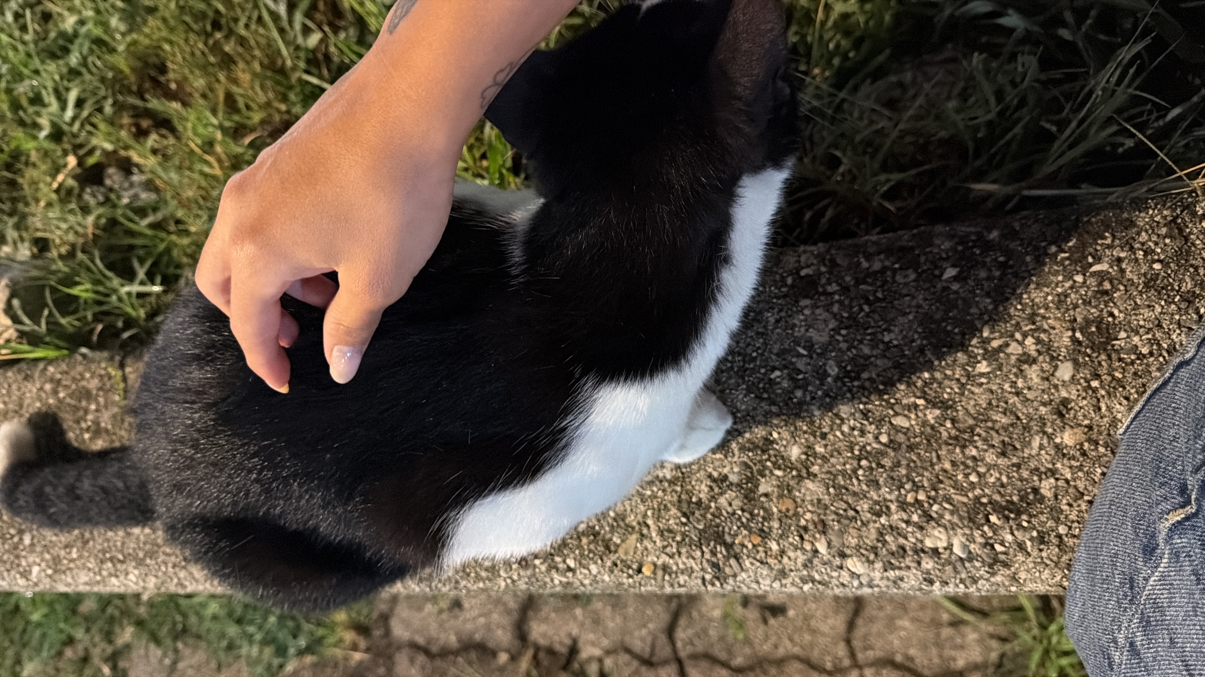 image-6