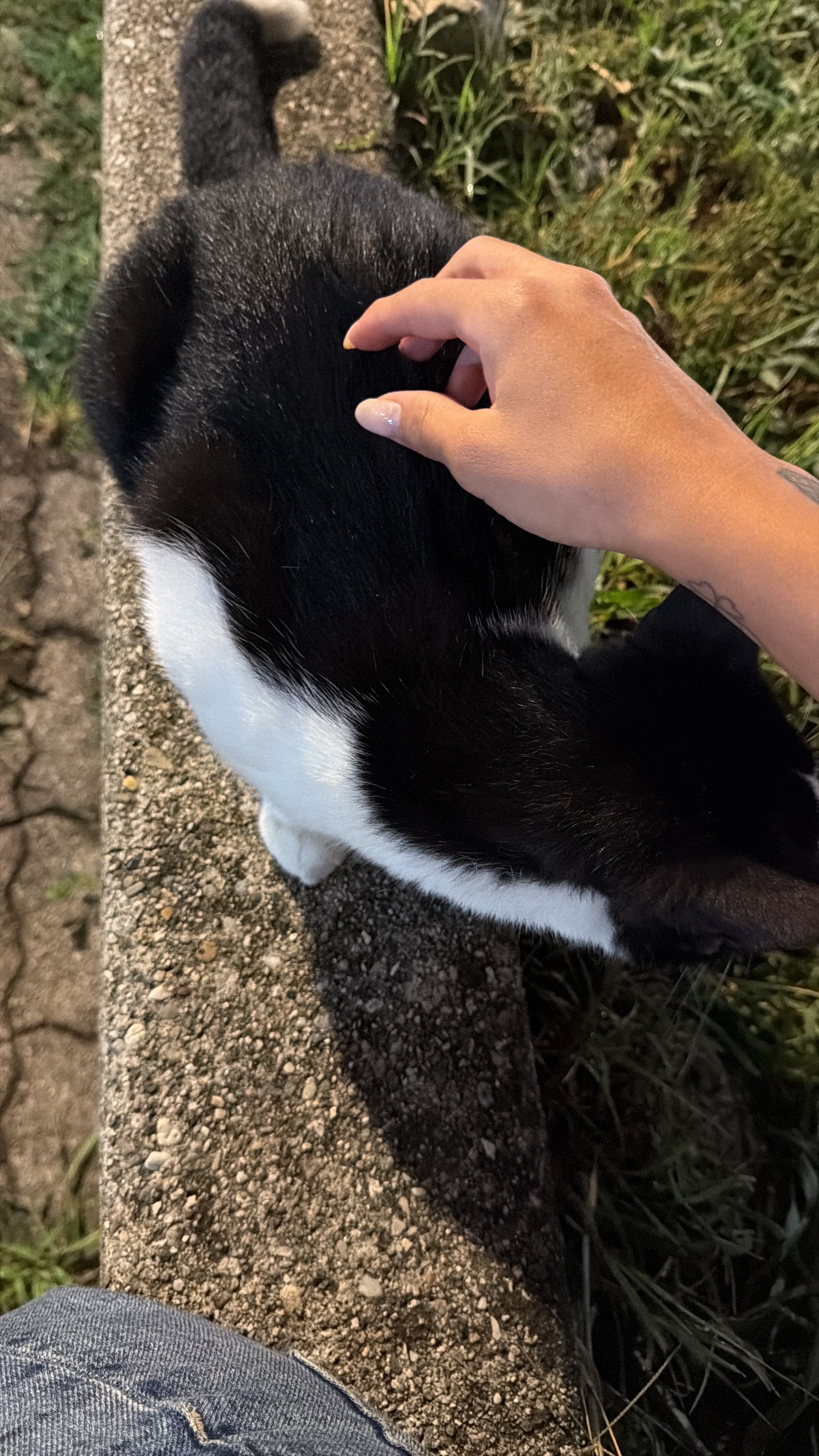 image-6