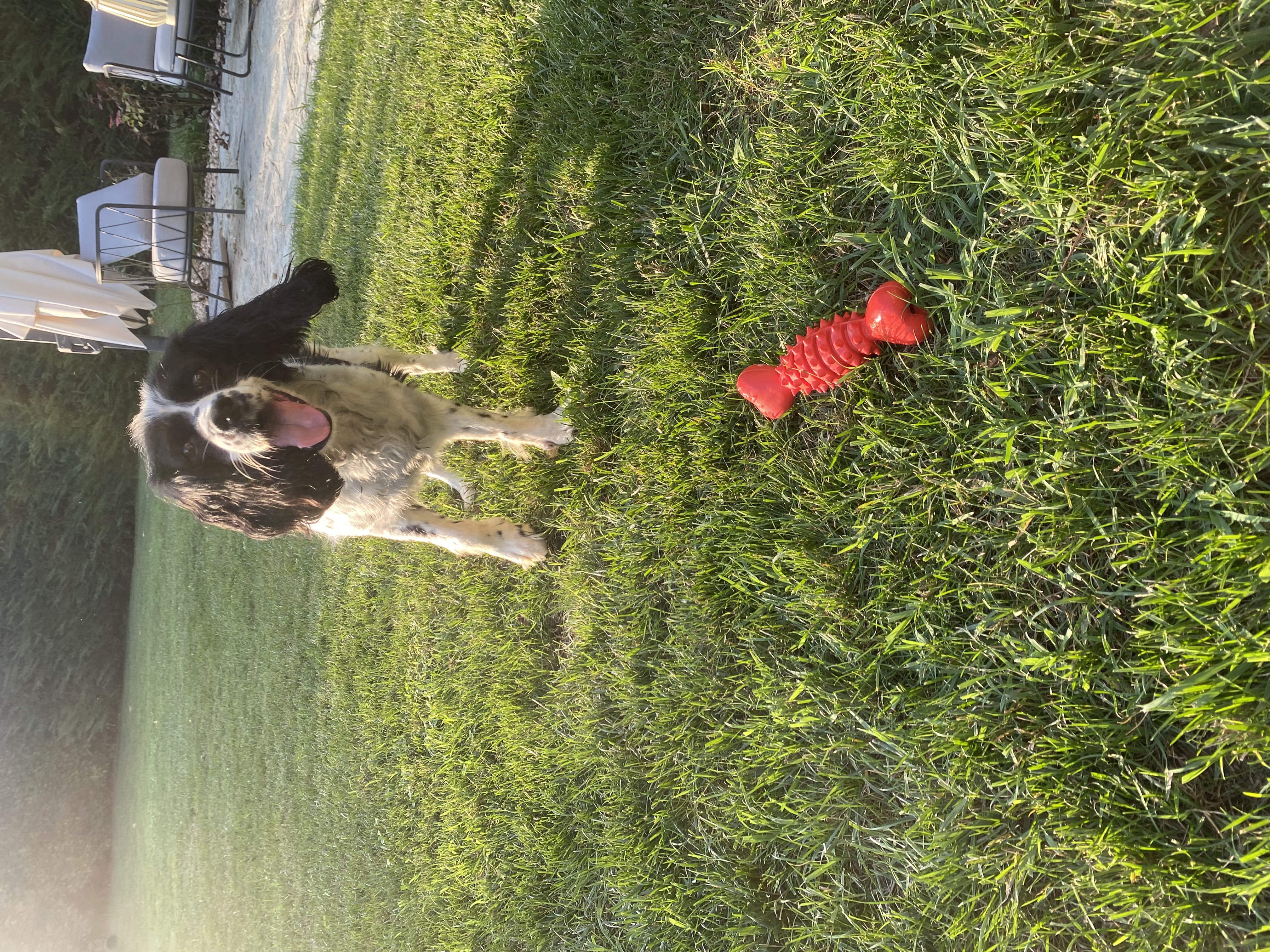 image-8