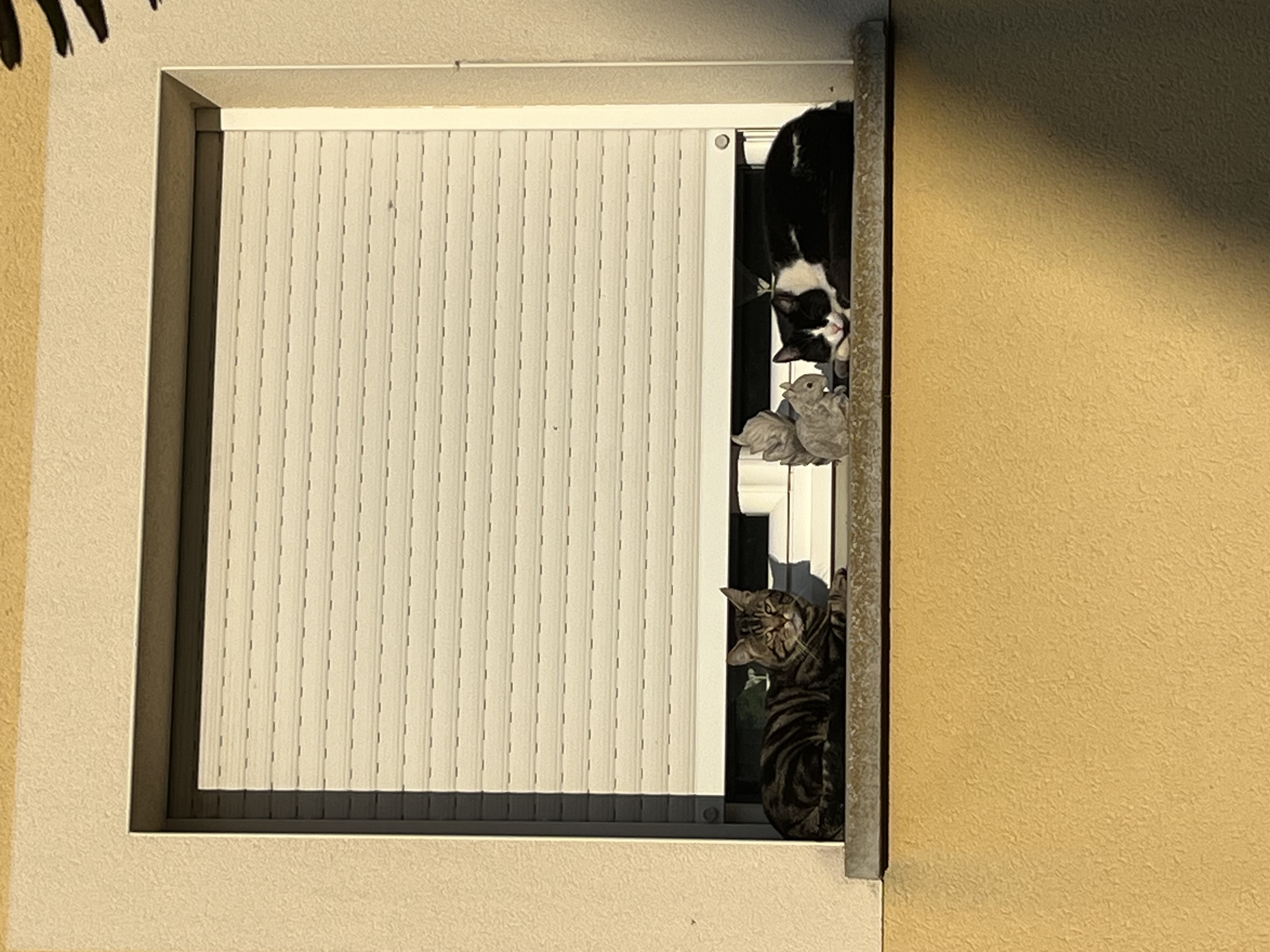 image-6