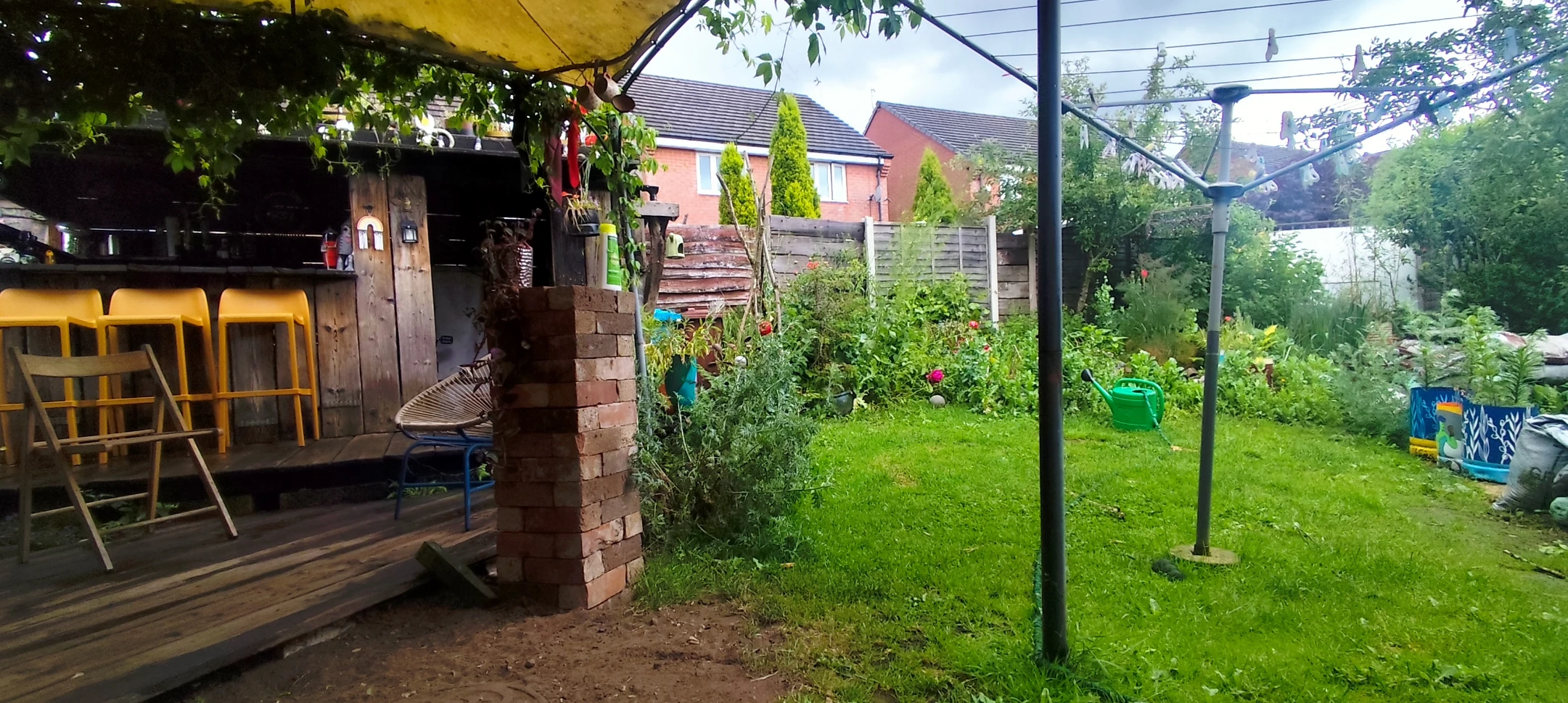 image-7